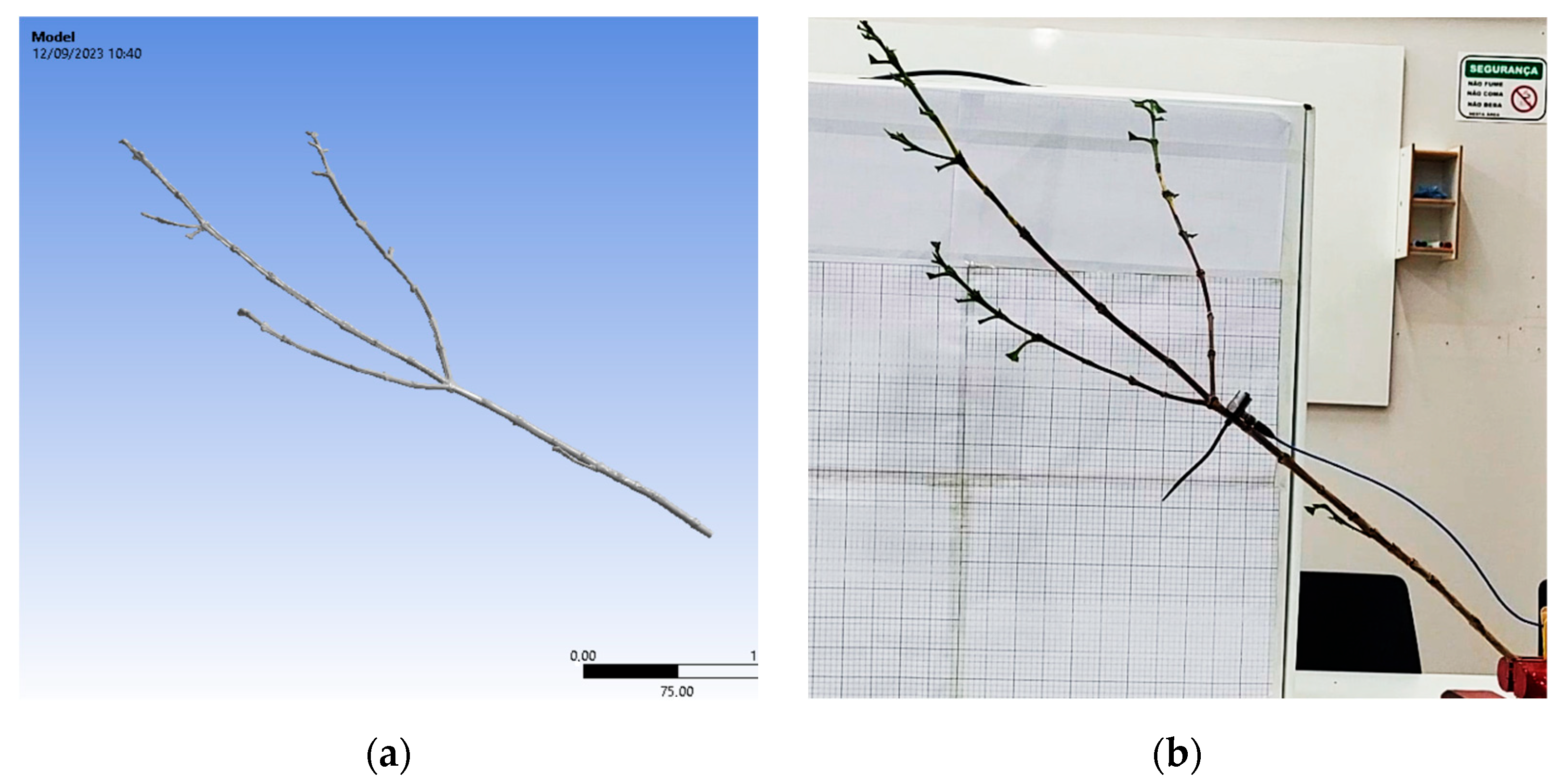 Agriculture 15 01326 g025