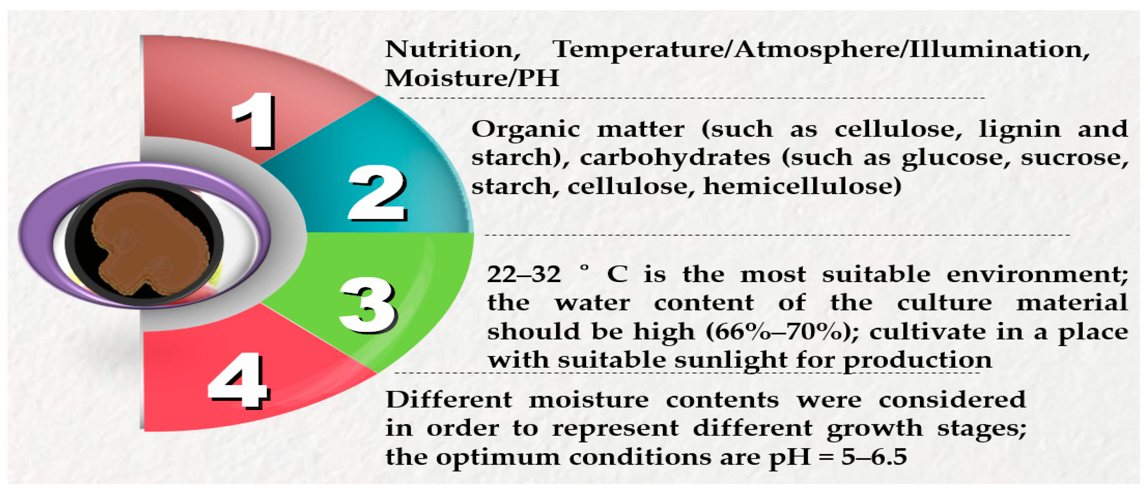 Agriculture 15 01329 g003