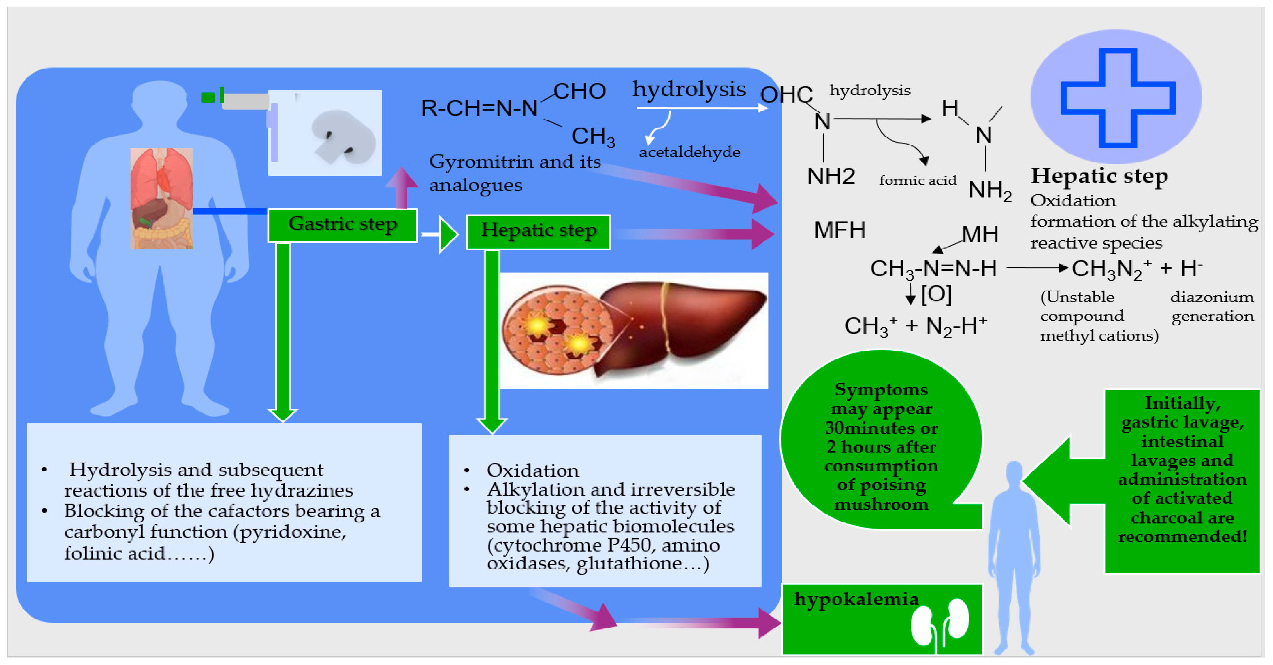Agriculture 15 01329 g005