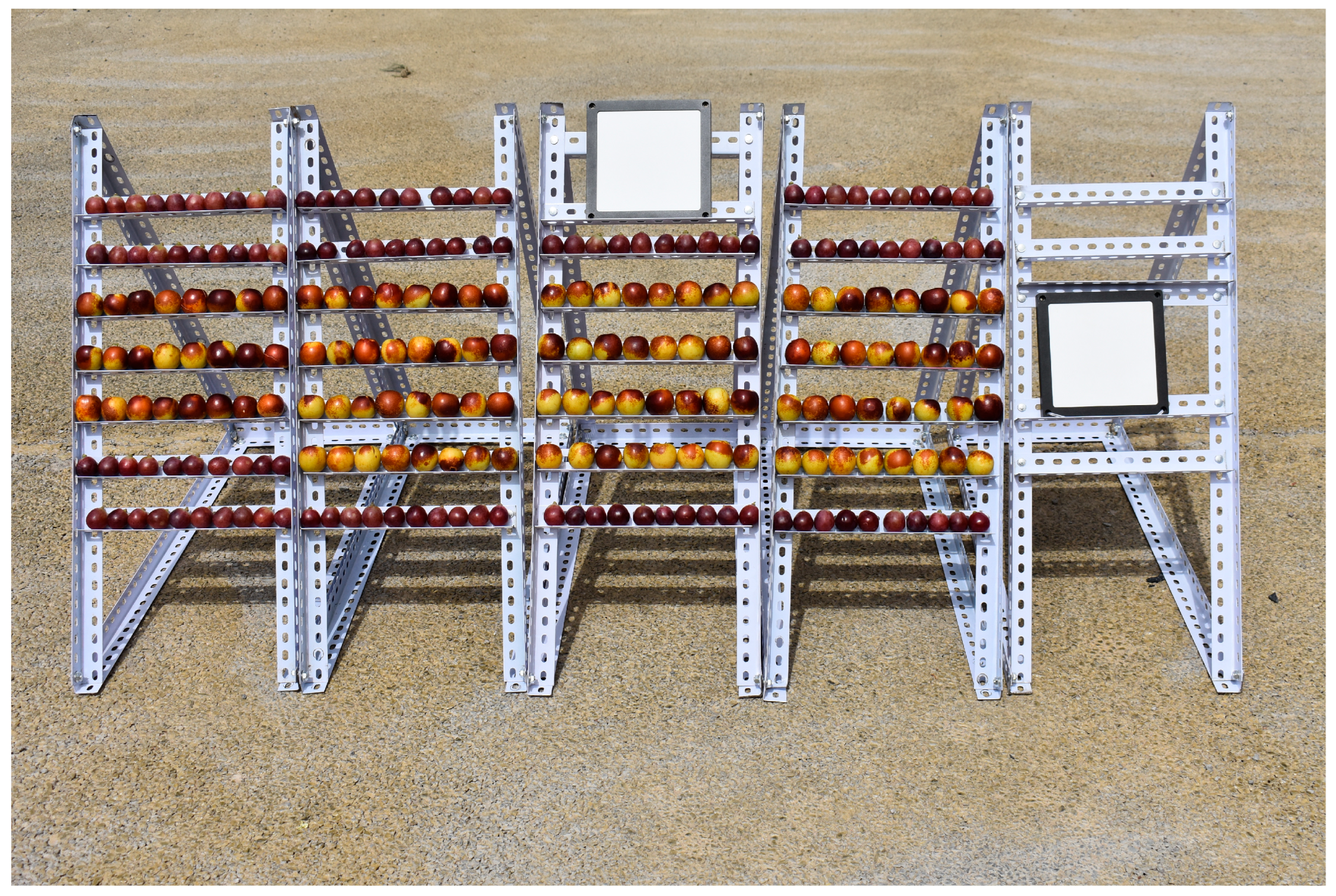 Agriculture 15 01334 g001