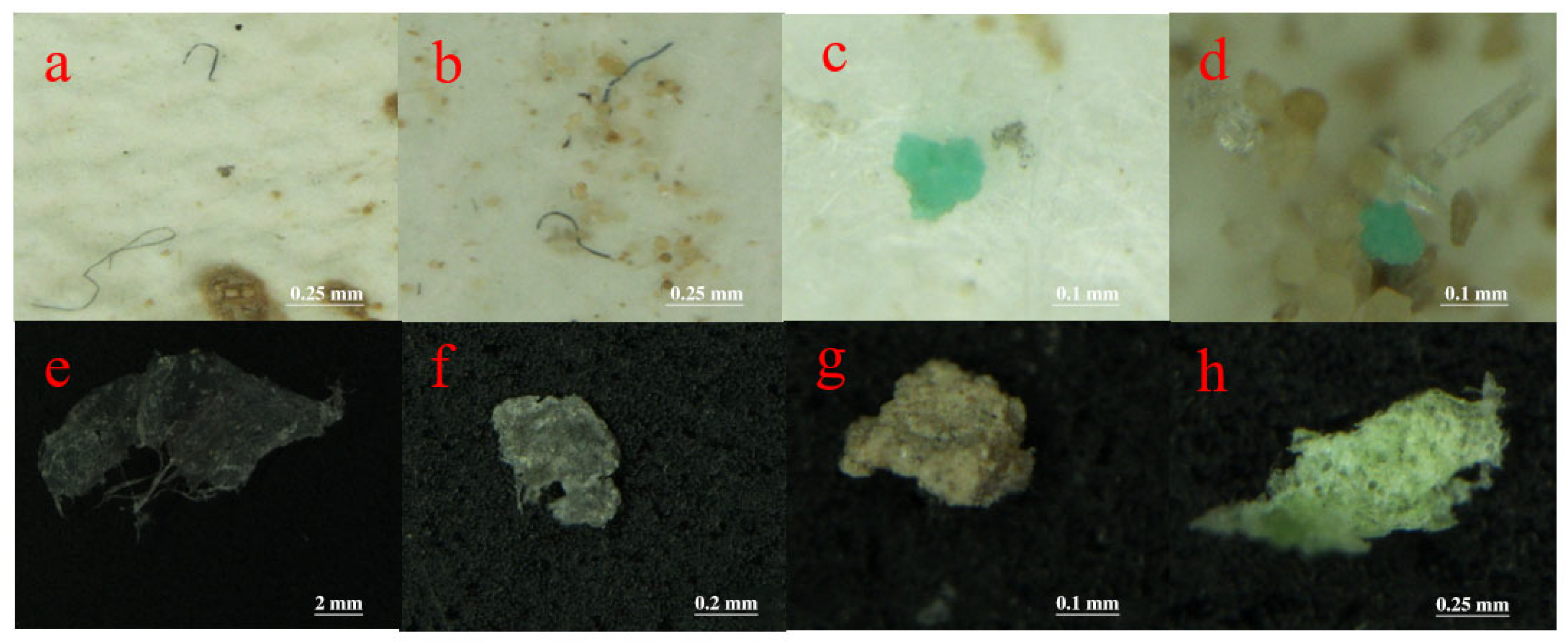 Agriculture 15 01343 g004