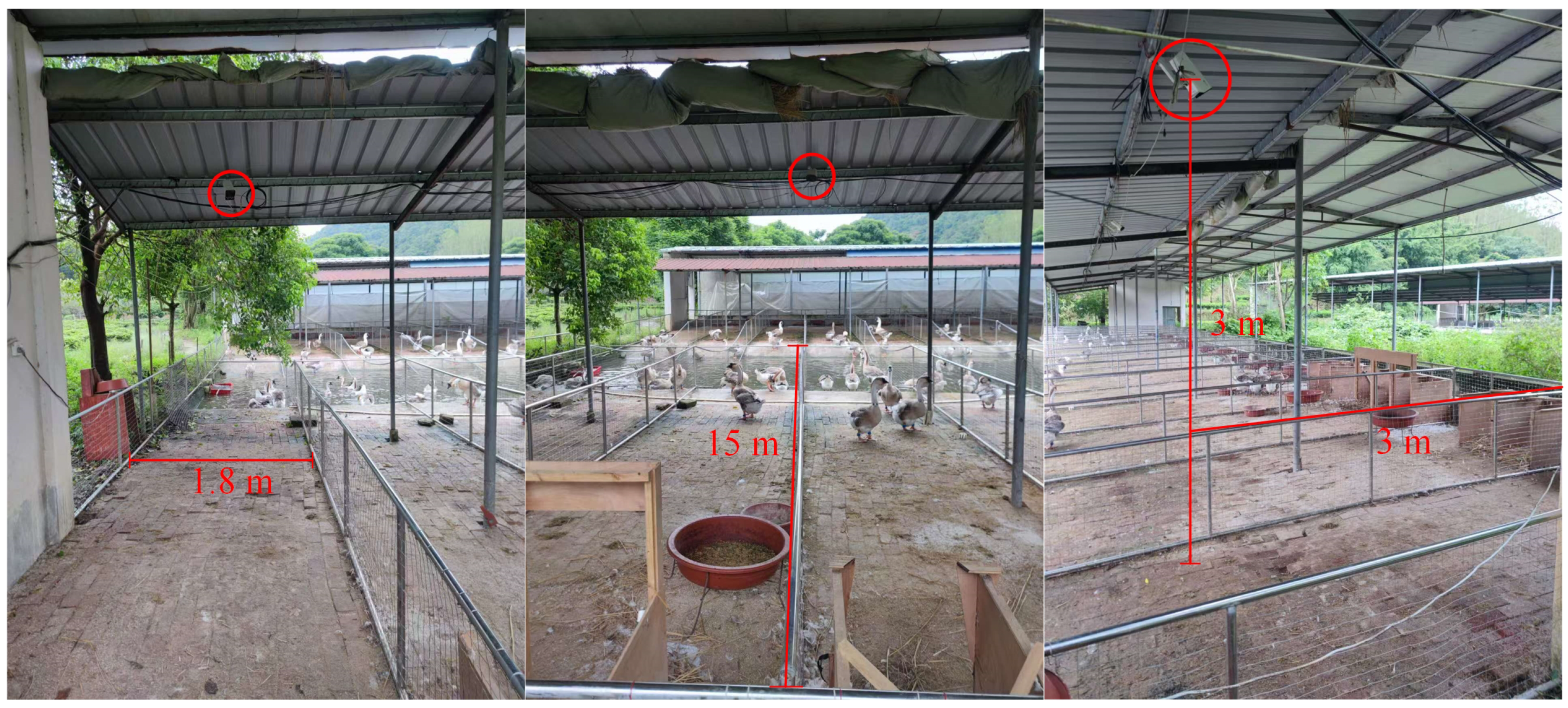 Agriculture 15 01345 g004