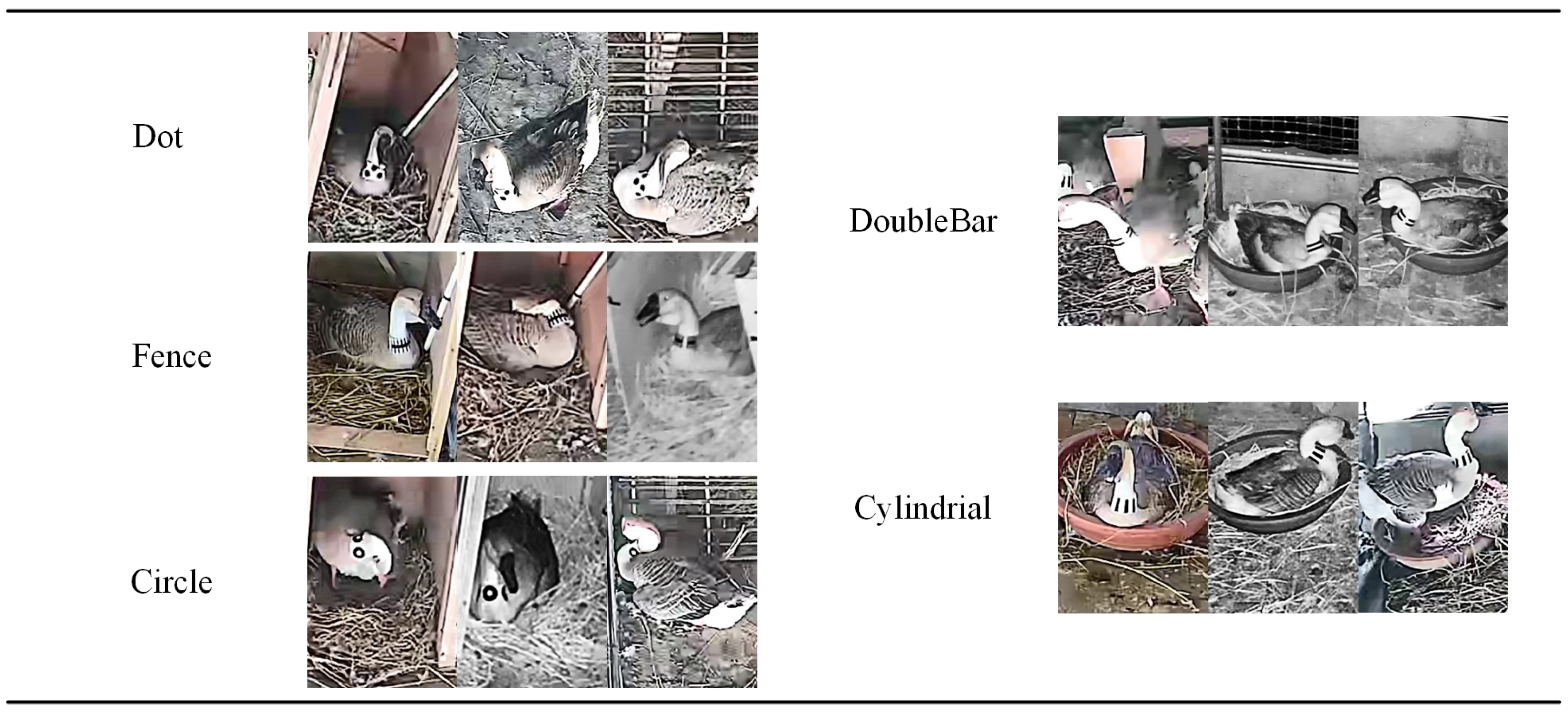 Agriculture 15 01345 g006