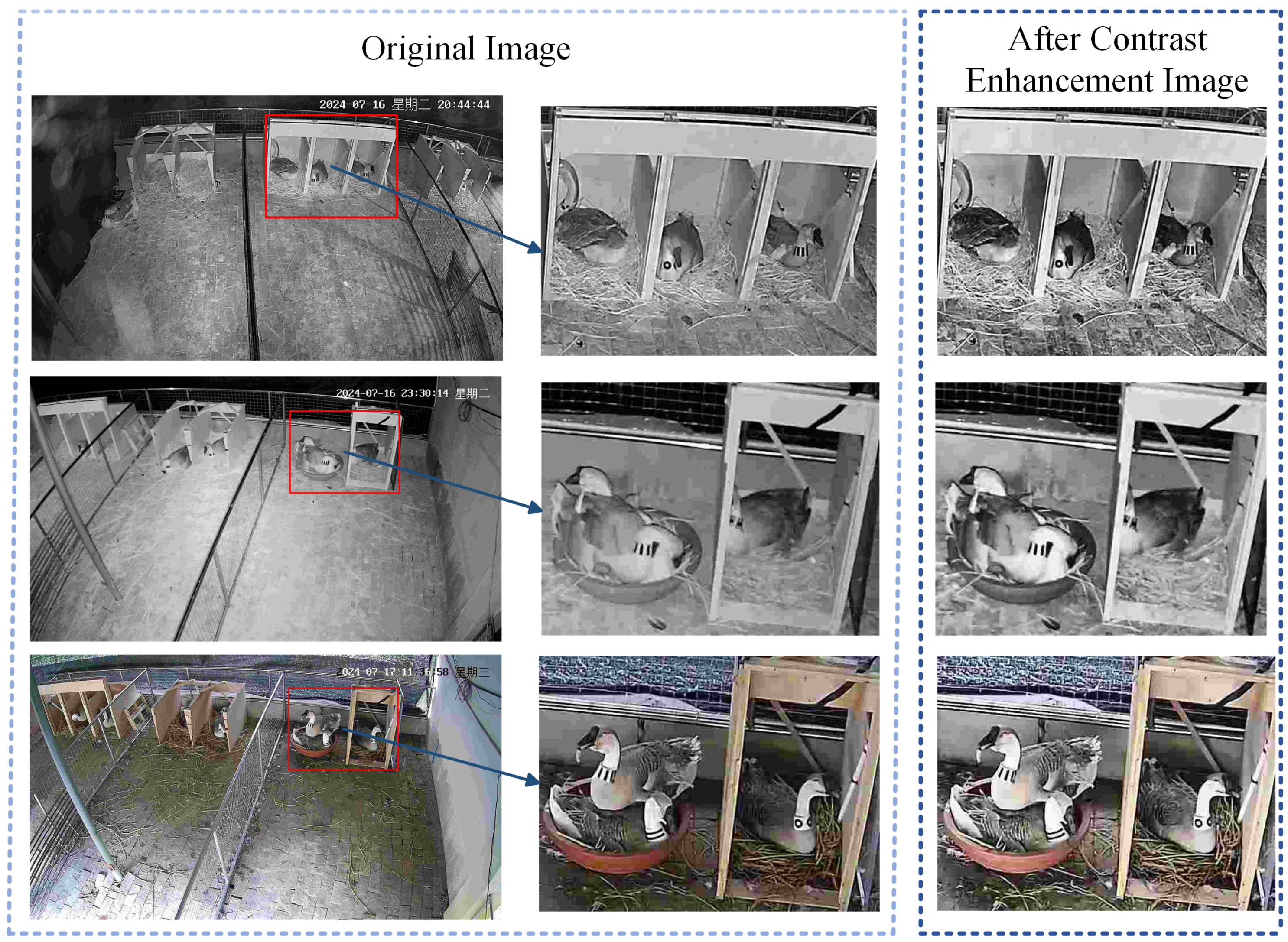 Agriculture 15 01345 g007