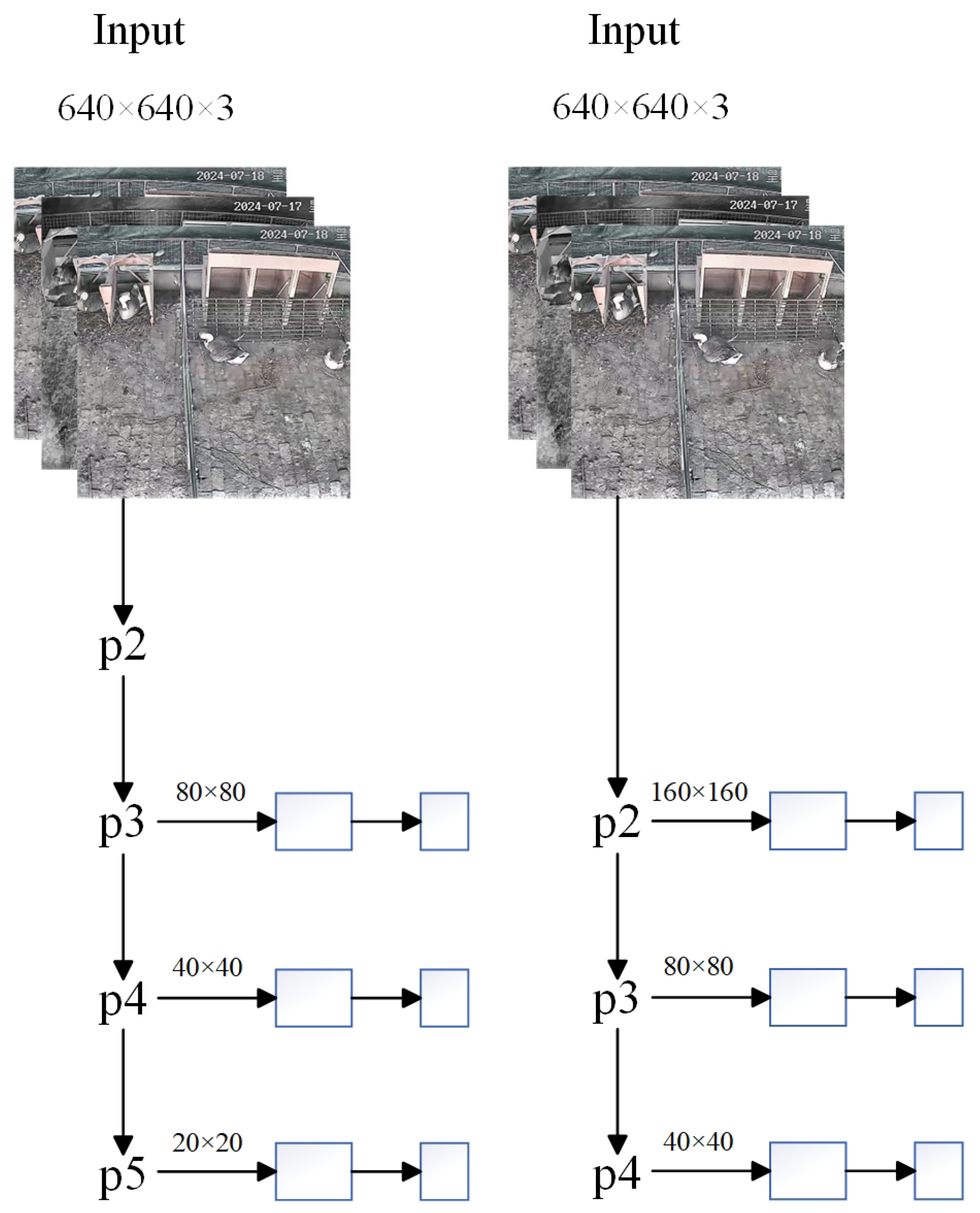 Agriculture 15 01345 g013