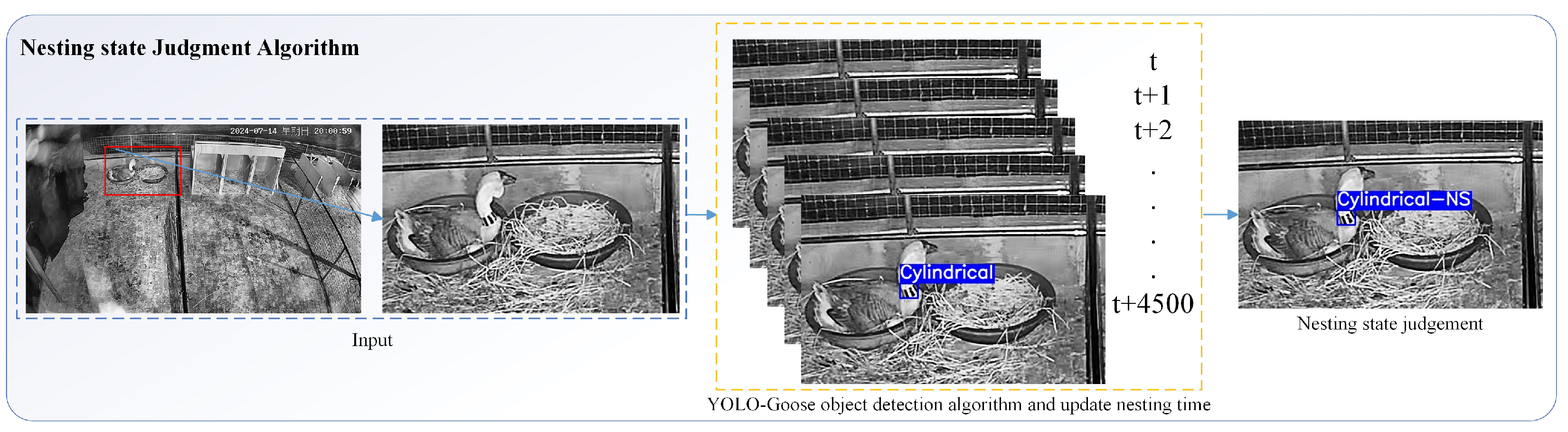 Agriculture 15 01345 g017