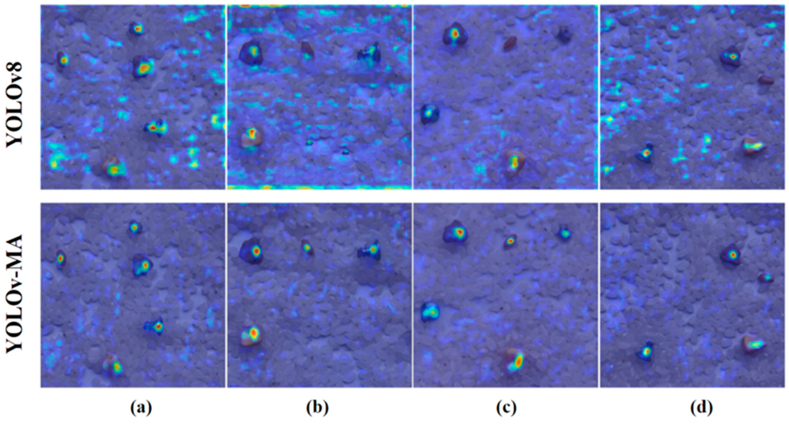 Agriculture 15 01354 g010