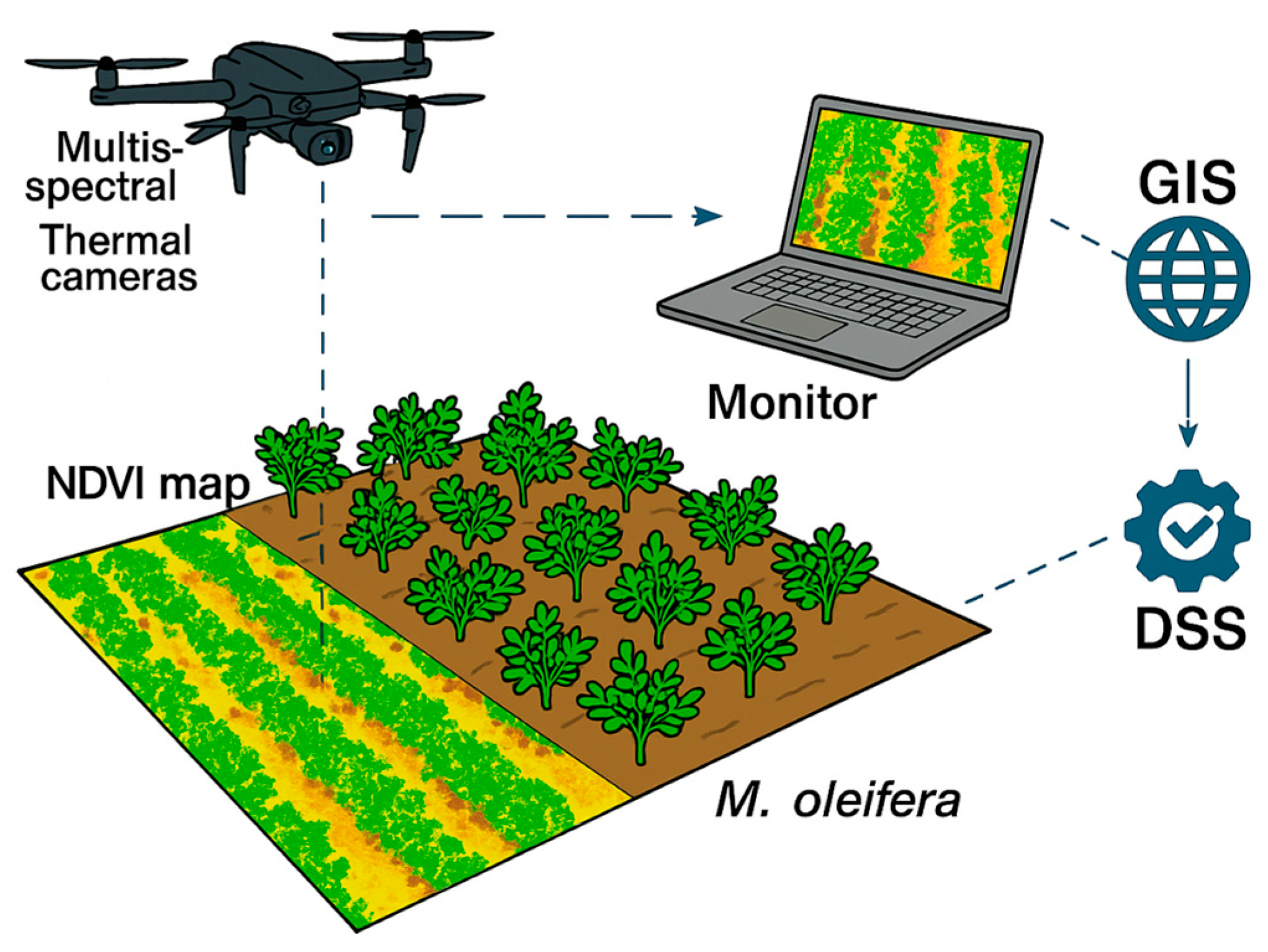 Agriculture 15 01359 g001