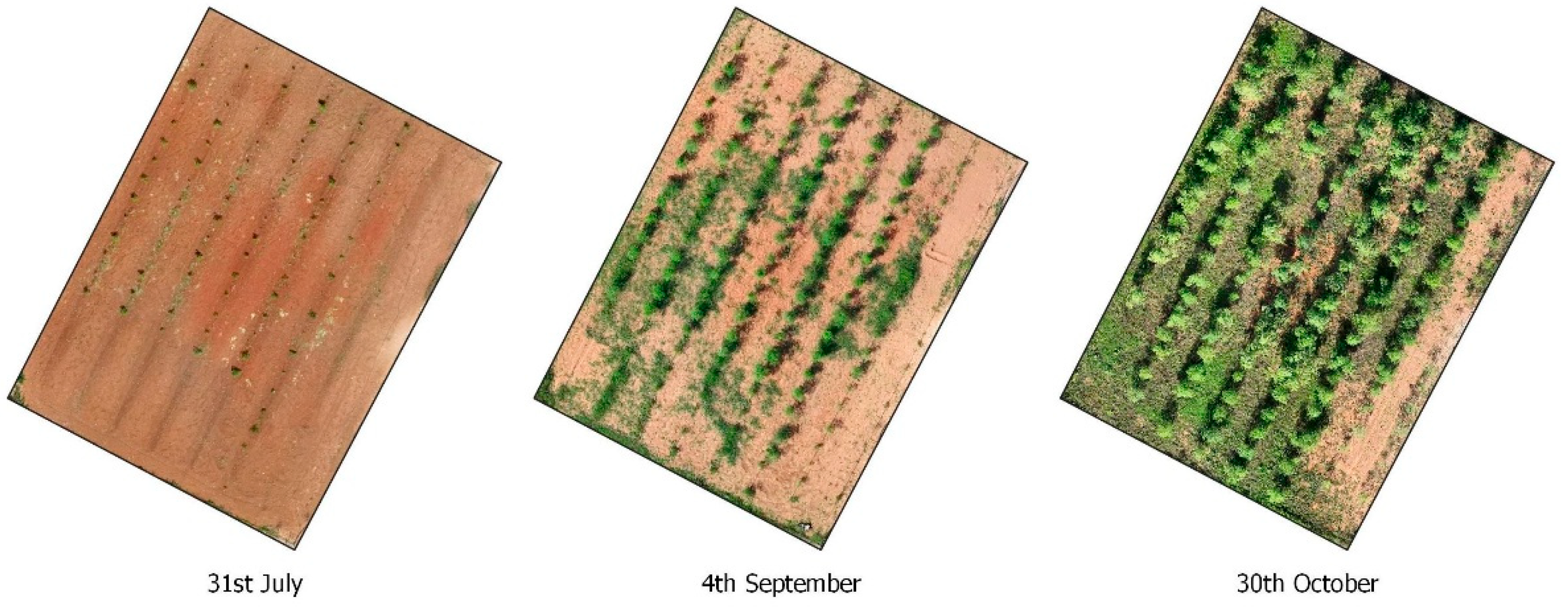 Agriculture 15 01359 g003