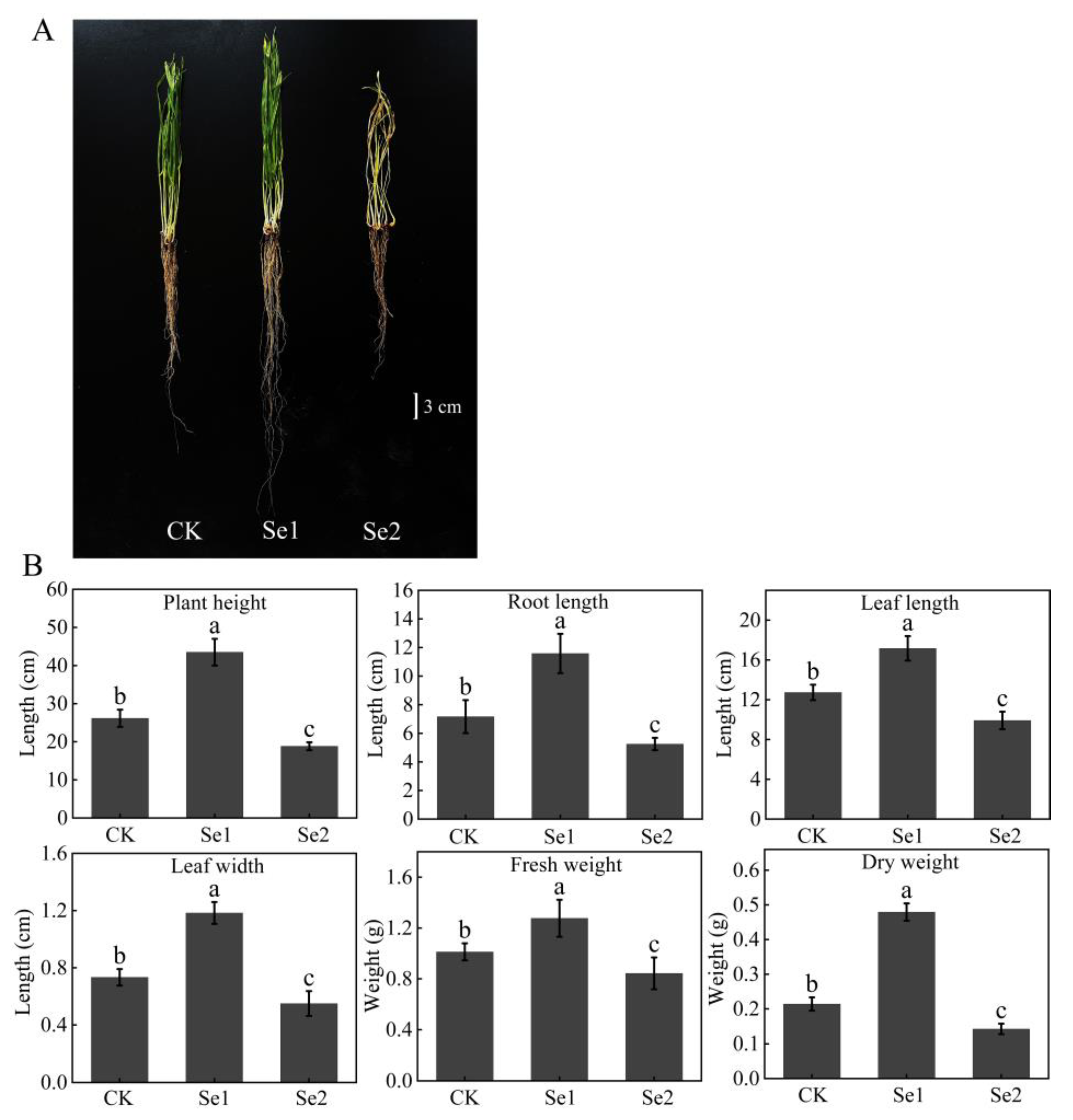 Agriculture 15 01364 g001