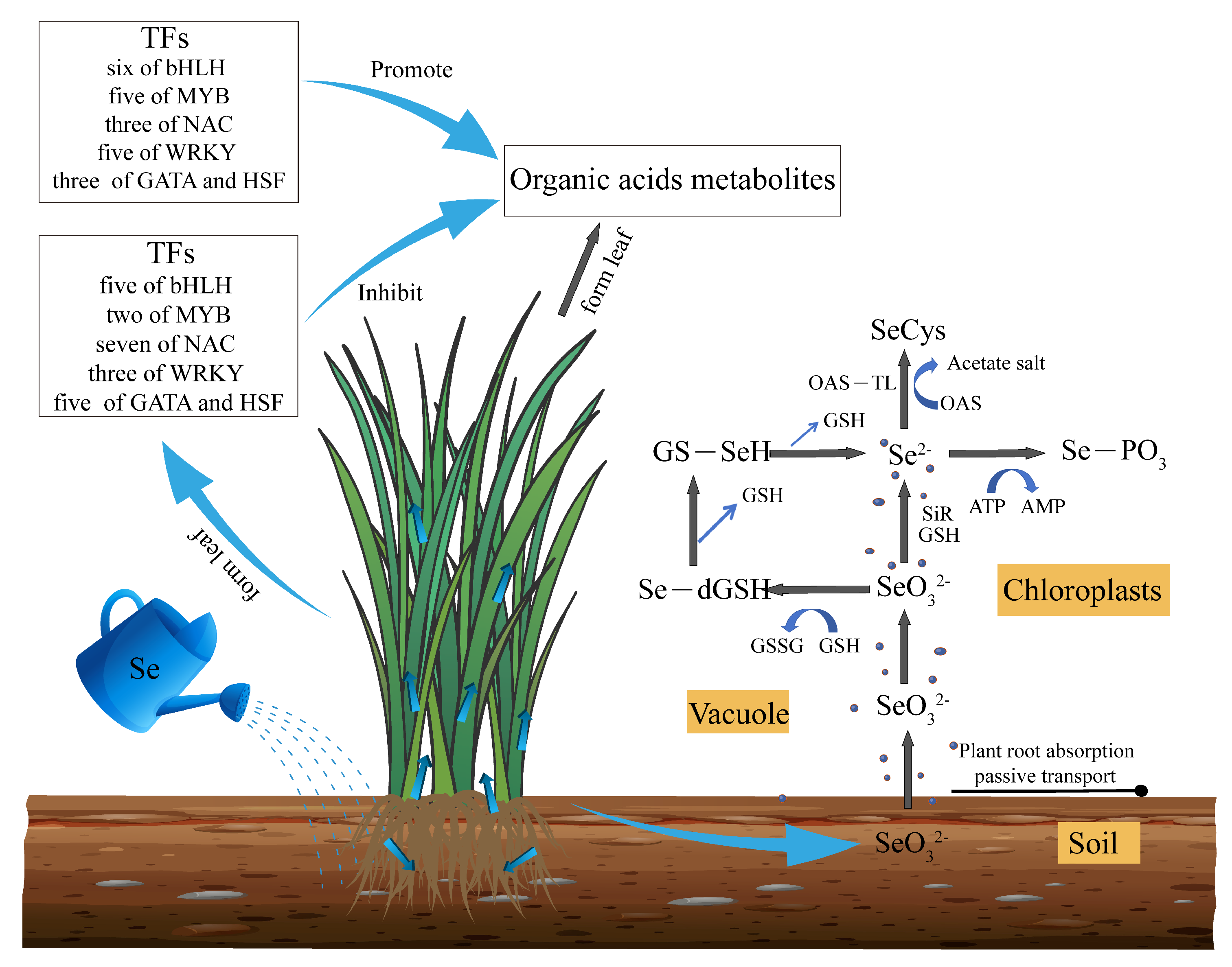 Agriculture 15 01364 g011