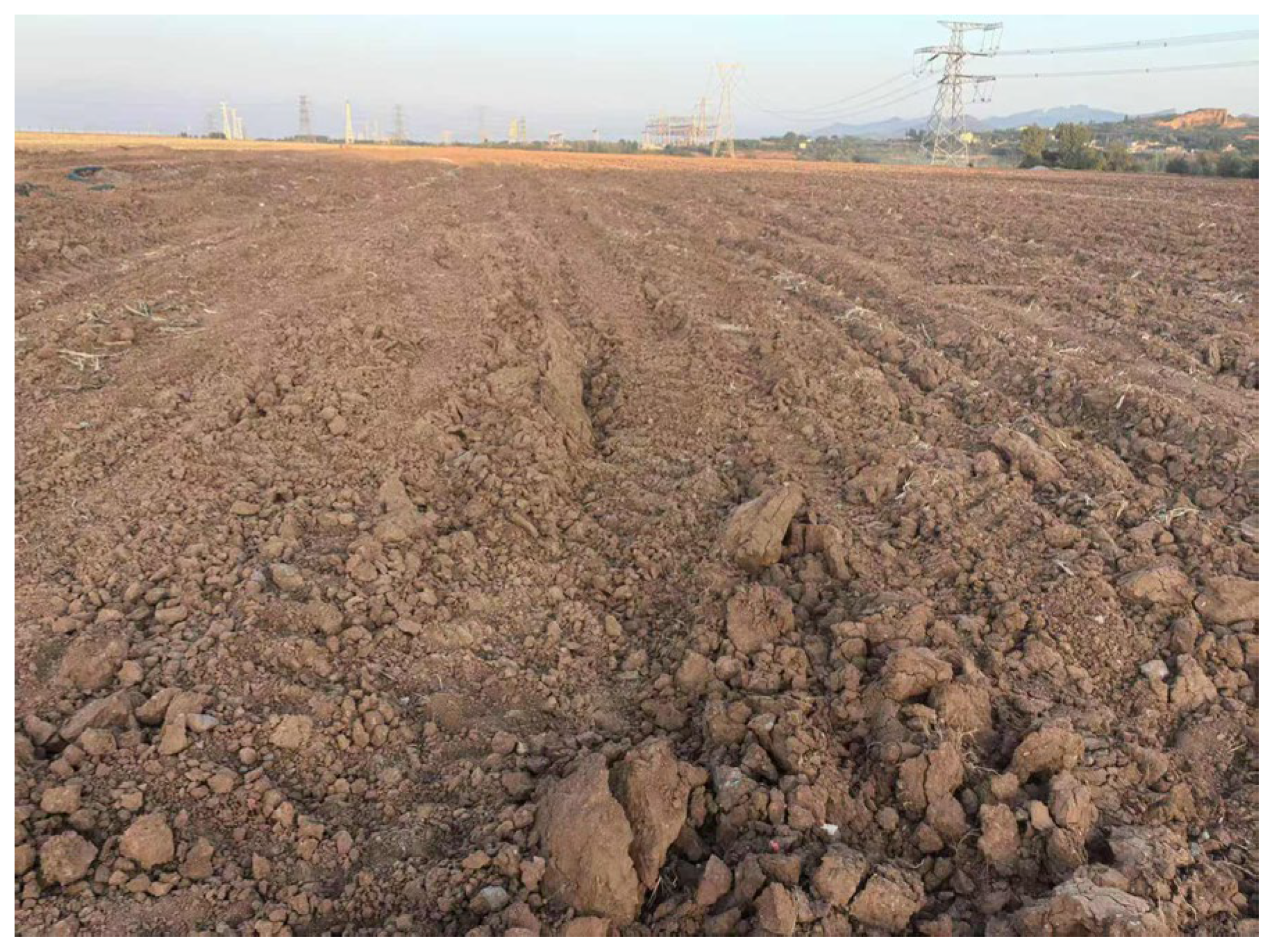 Agriculture 15 01365 g001