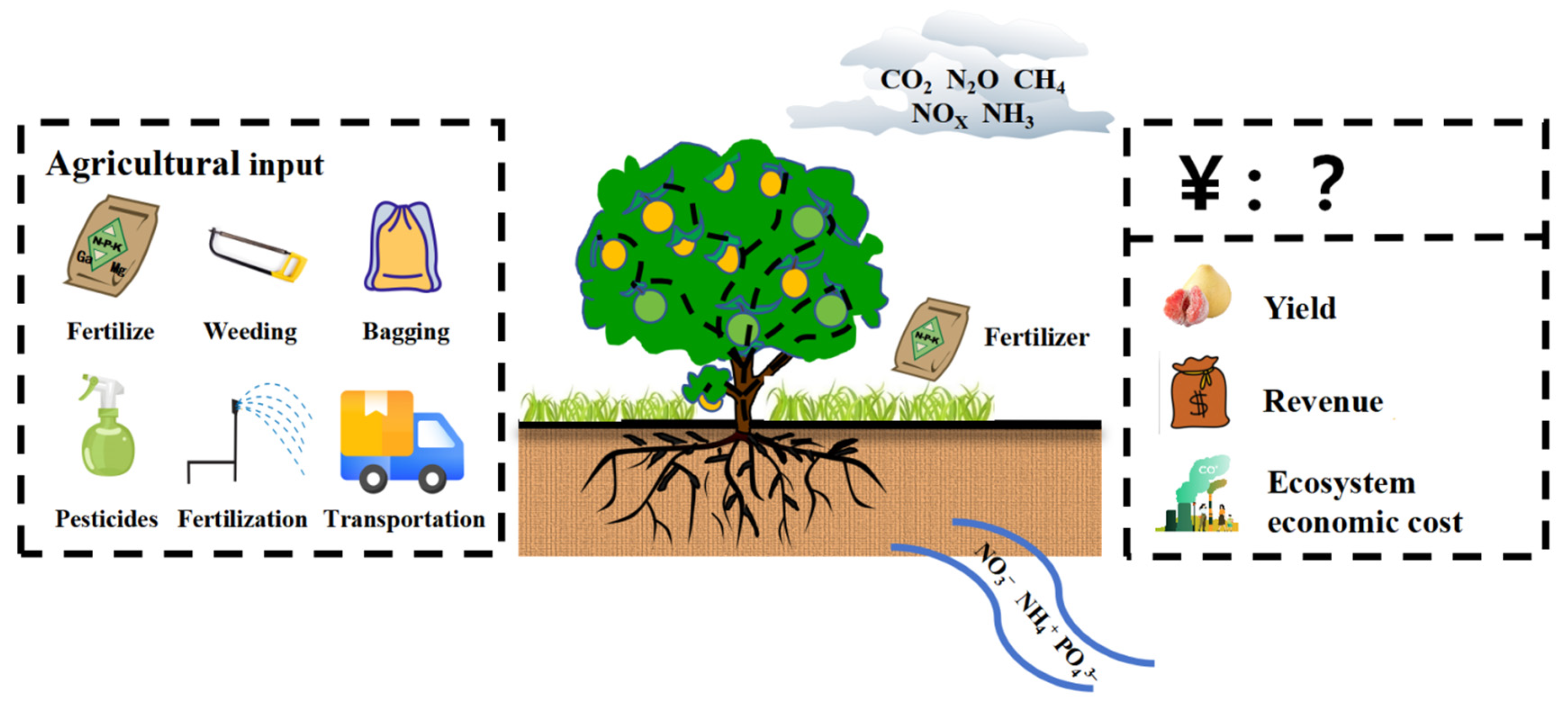 Agriculture 15 01367 g001