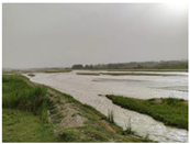 Agriculture 15 01376 i001