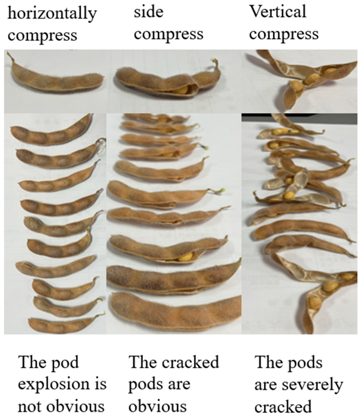 Agriculture 15 01378 g008