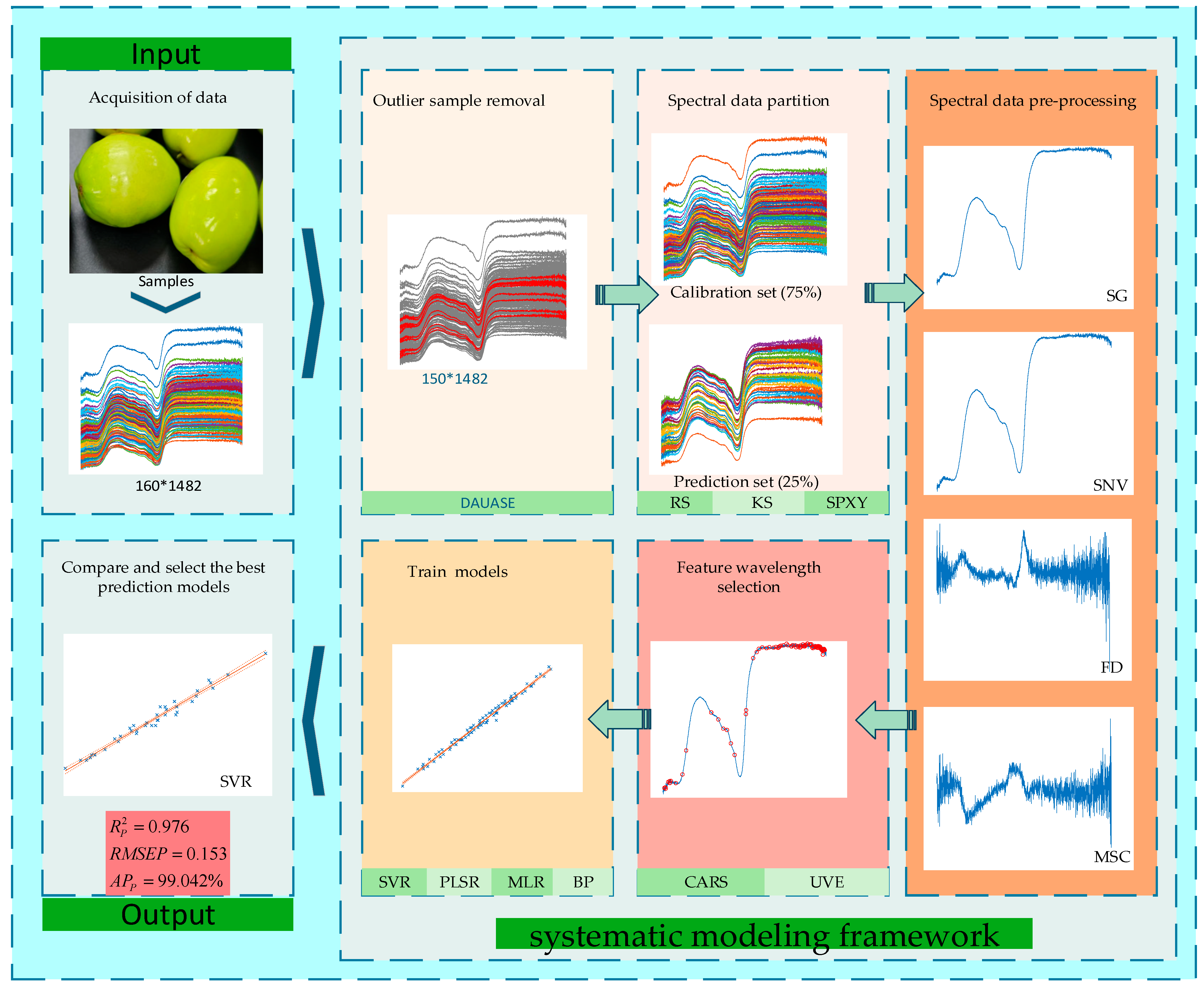Agriculture 15 01382 g001