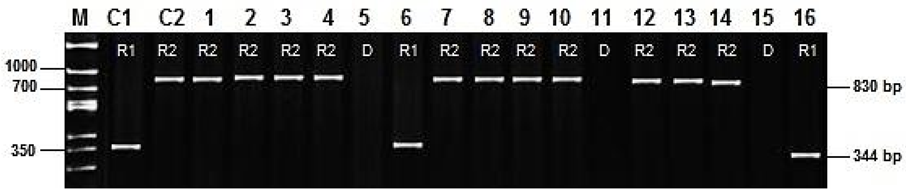 Agriculture 15 01389 g002 Agriculture 15 01389 g002