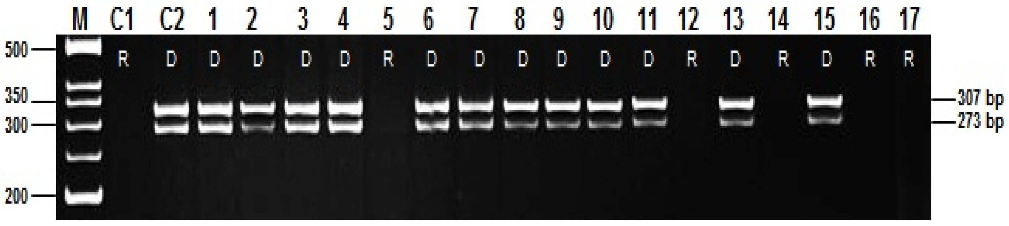 Agriculture 15 01389 g003 Agriculture 15 01389 g003