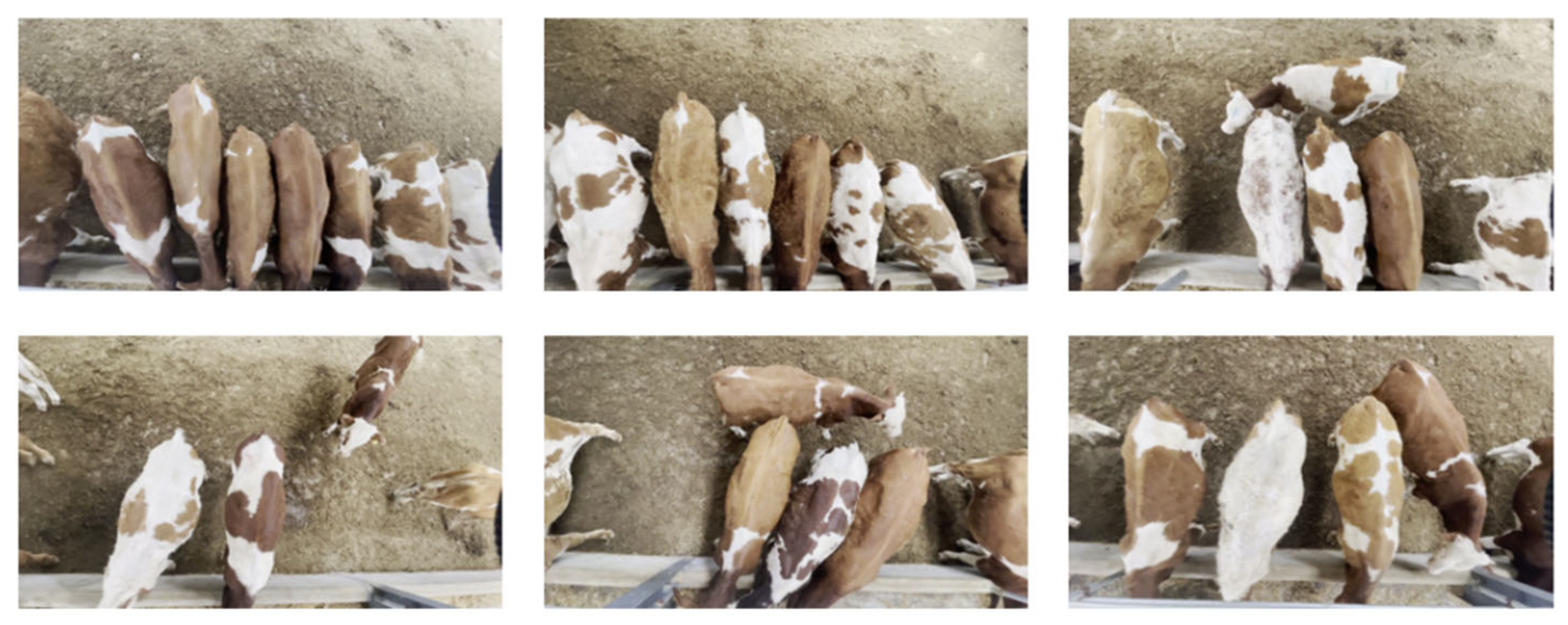 Agriculture 15 01391 g002