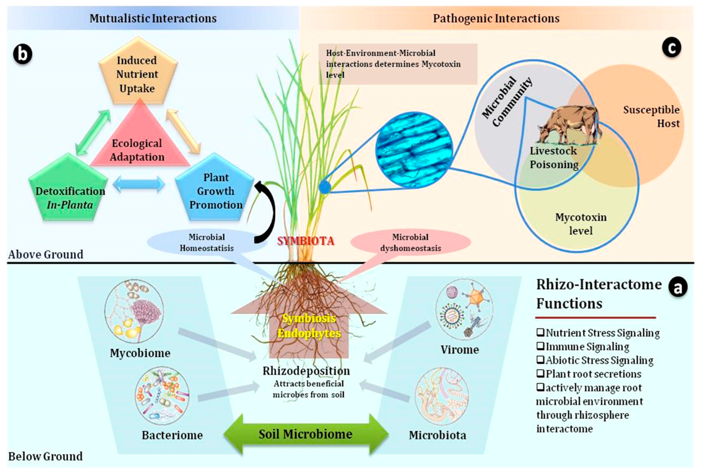 Agriculture 15 01393 g001 Agriculture 15 01393 g001