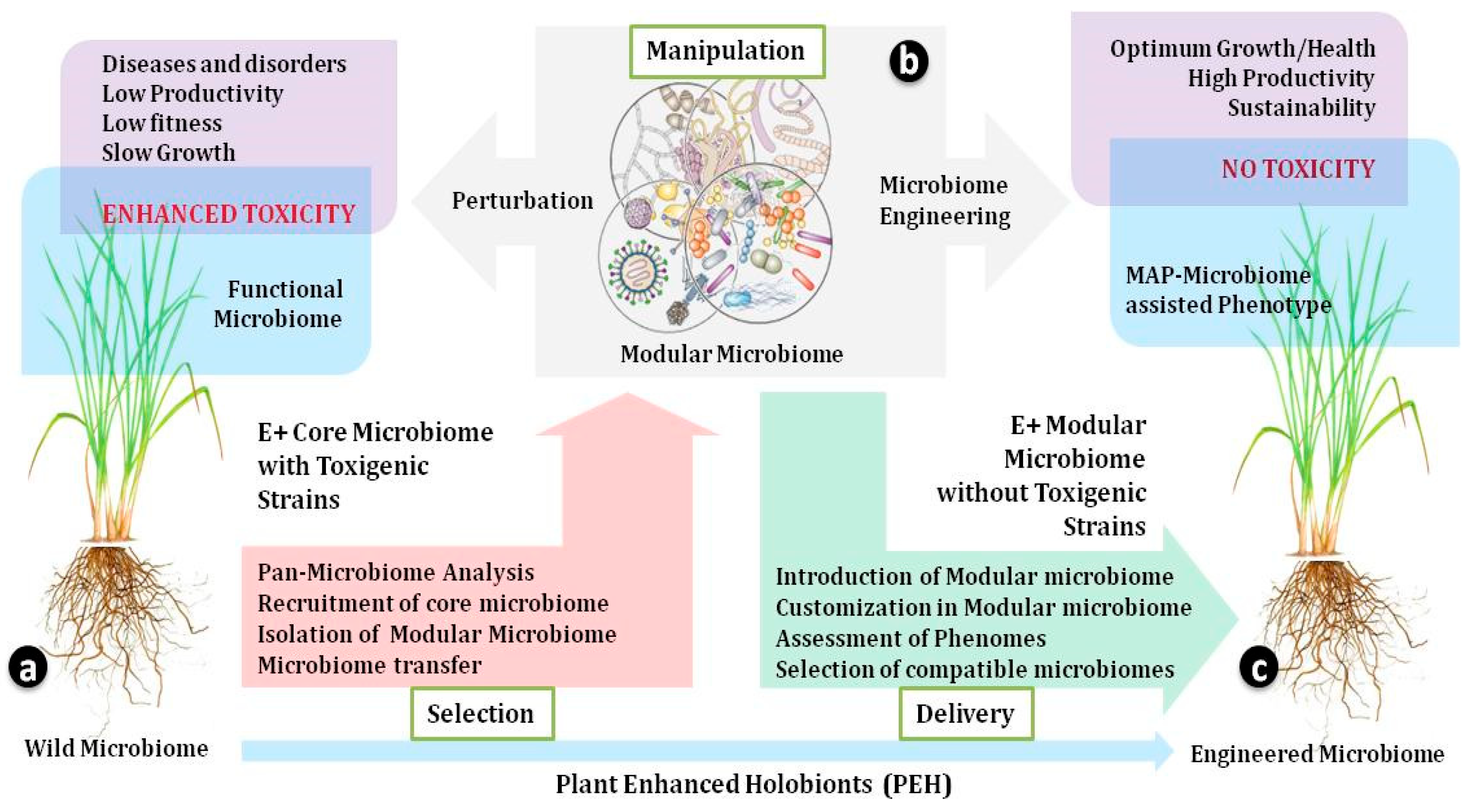 Agriculture 15 01393 g002 Agriculture 15 01393 g002