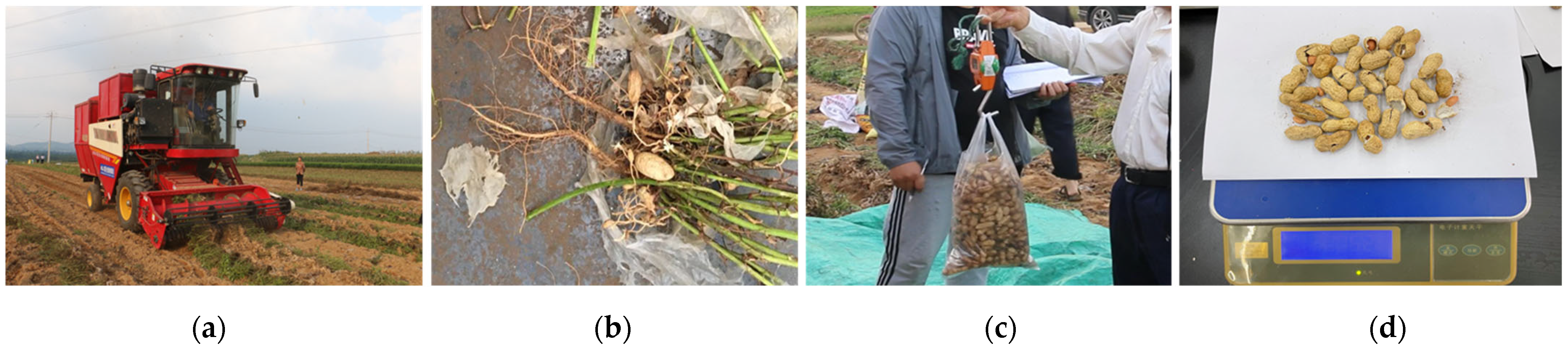 Agriculture 15 01394 g013