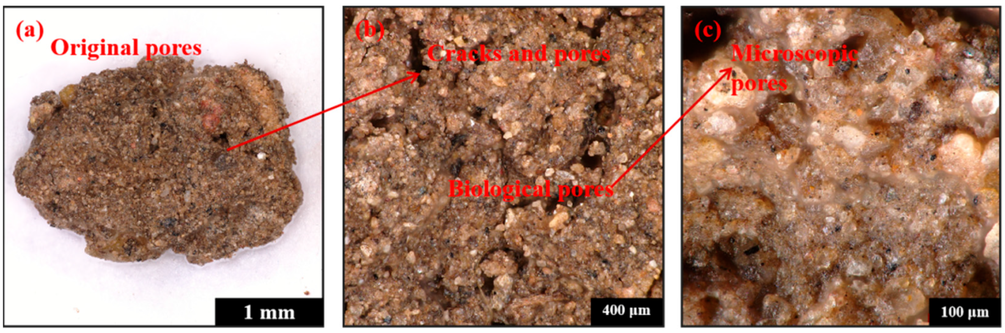 Agriculture 15 01397 g002