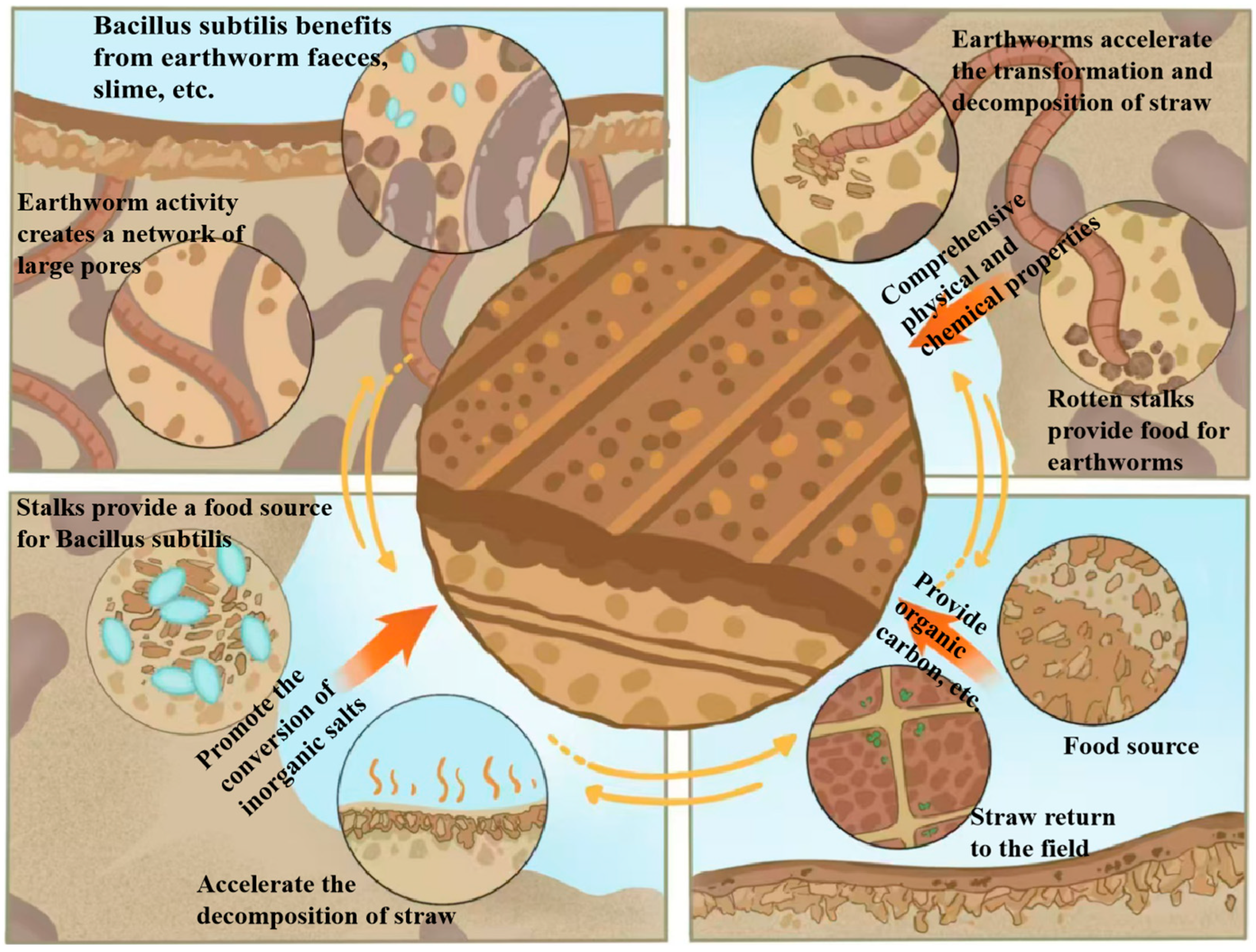 Agriculture 15 01397 g003