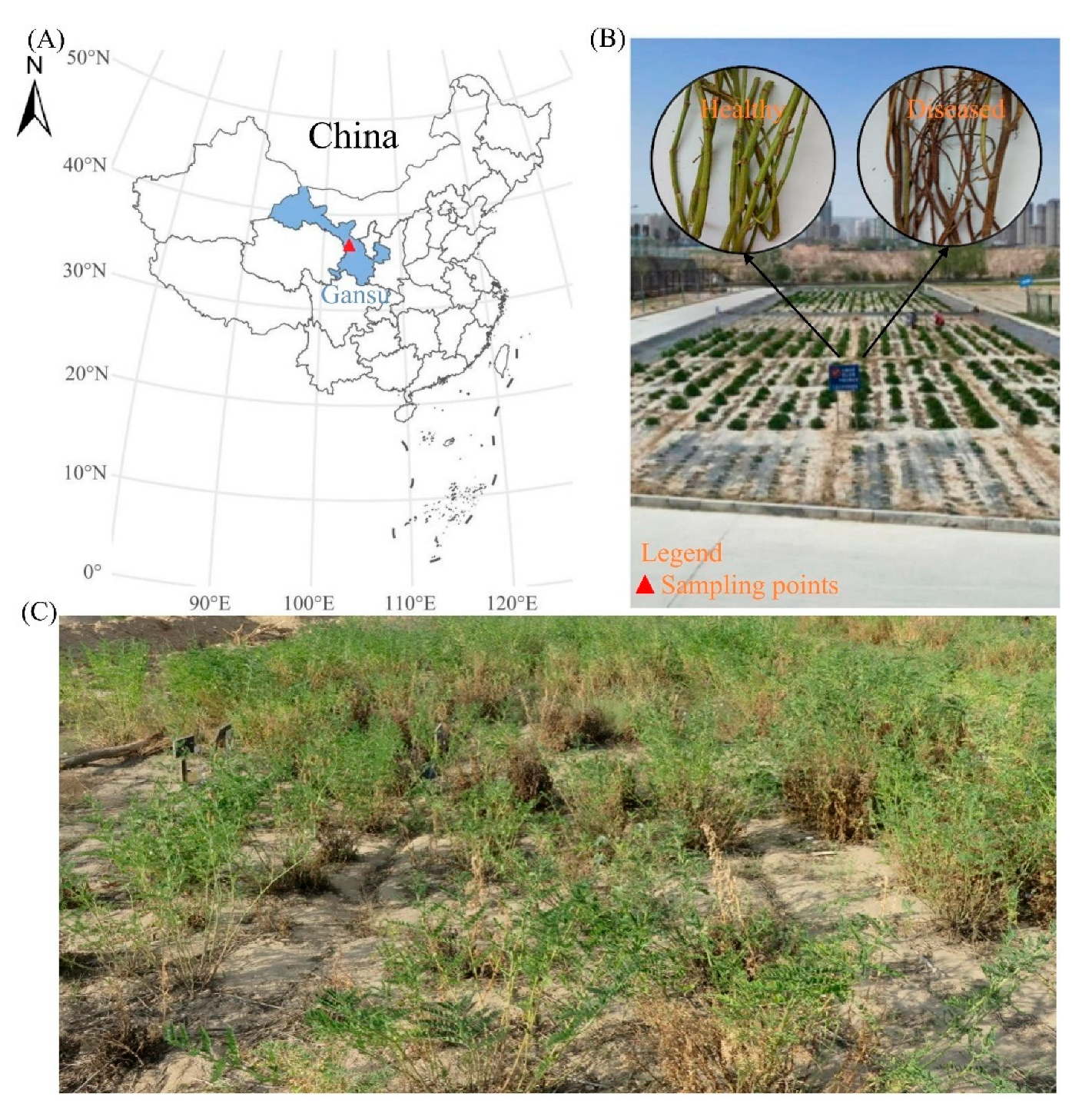 Agriculture 15 01401 g001