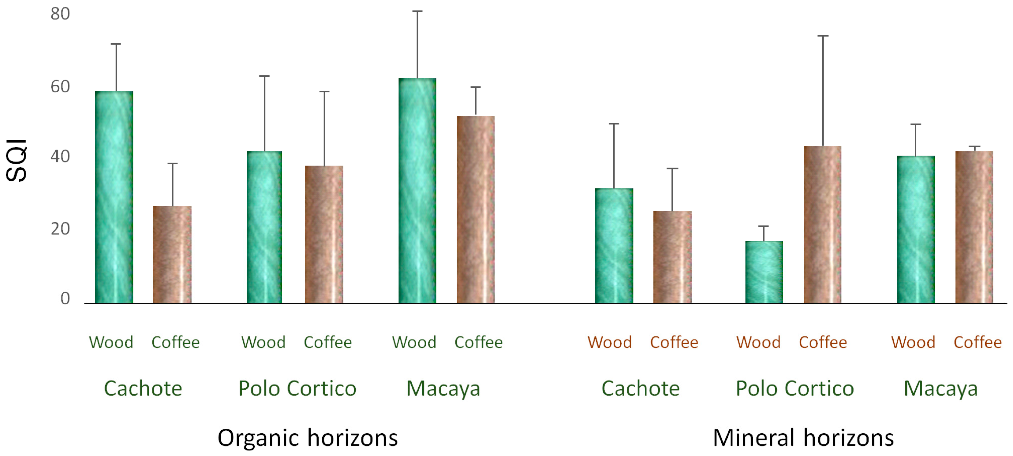 Agriculture 15 01402 g004