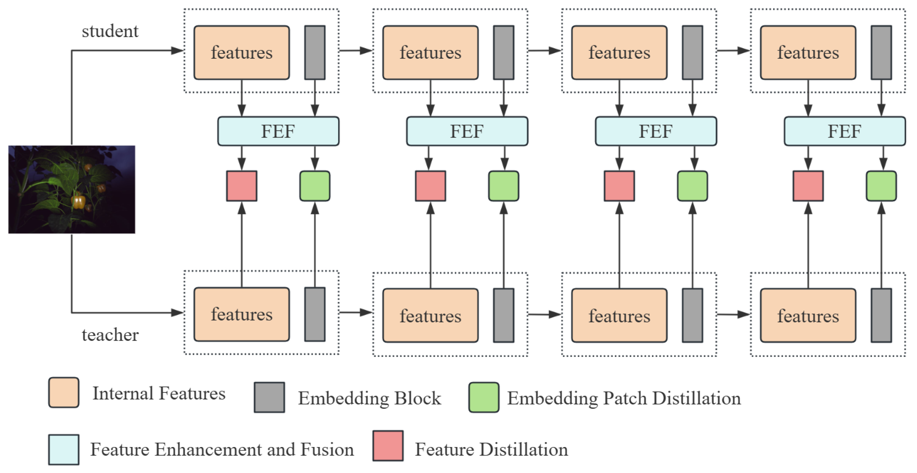 Agriculture 15 01418 g001