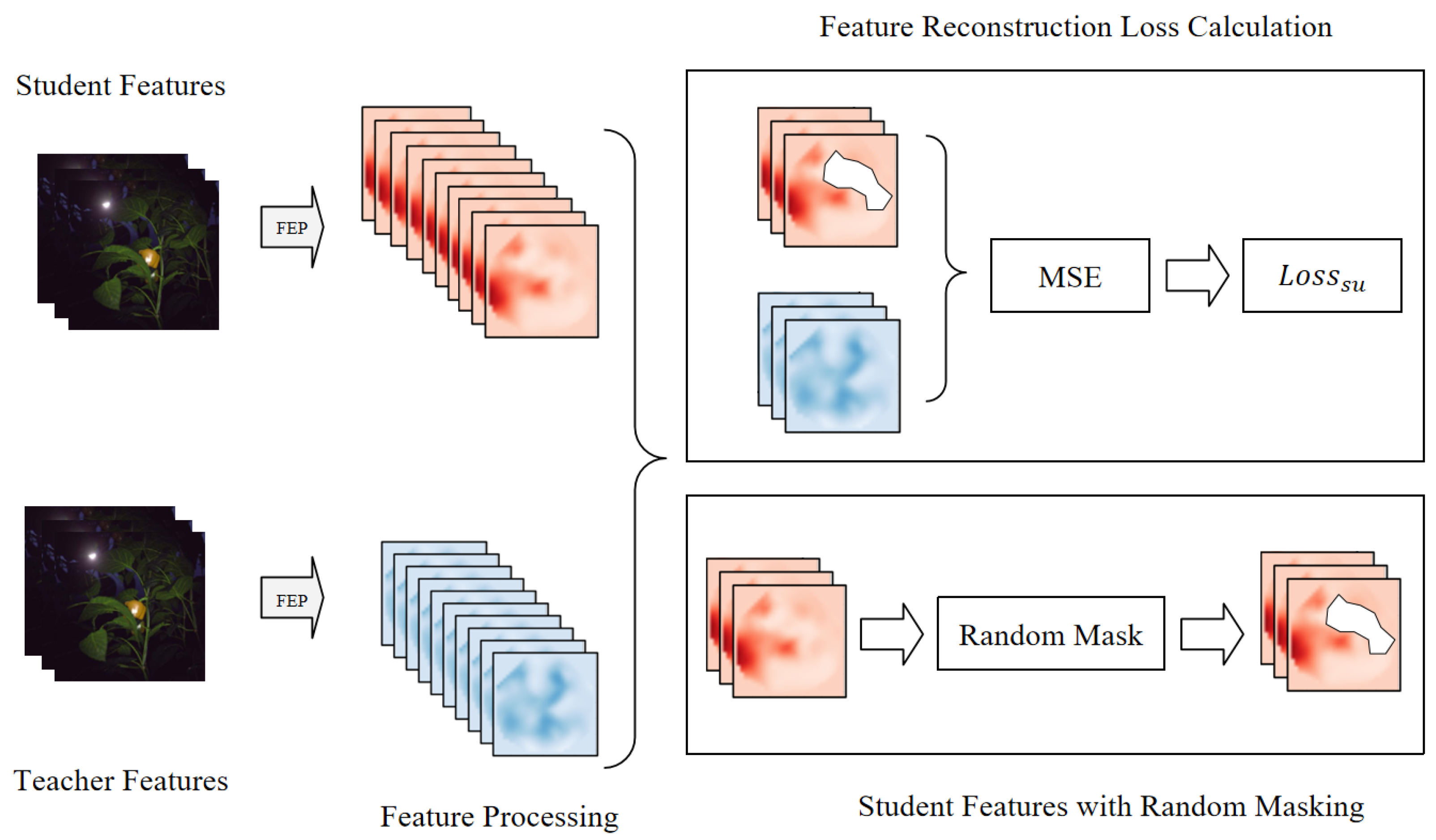 Agriculture 15 01418 g003