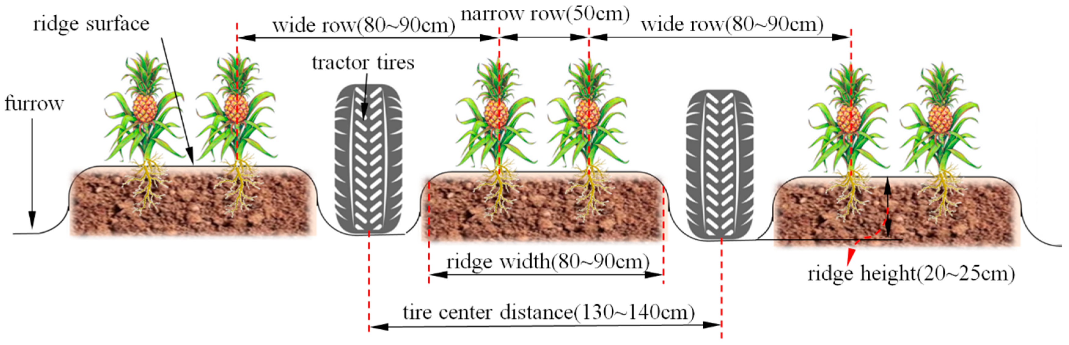 Agriculture 15 01420 g001