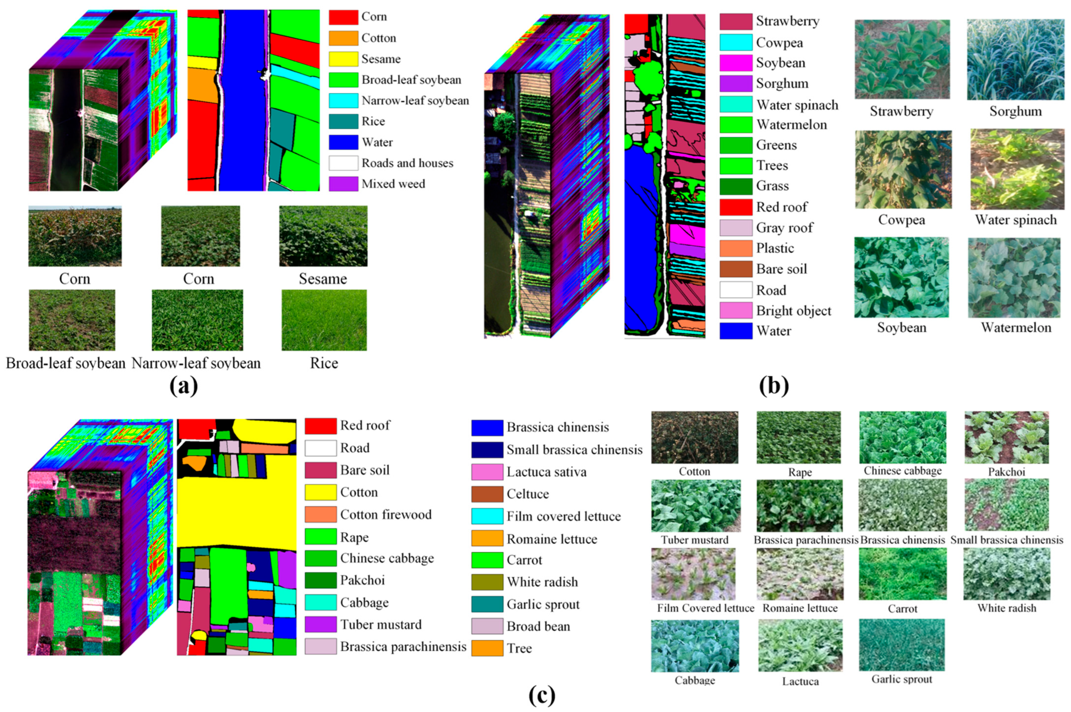 Agriculture 15 01427 g001