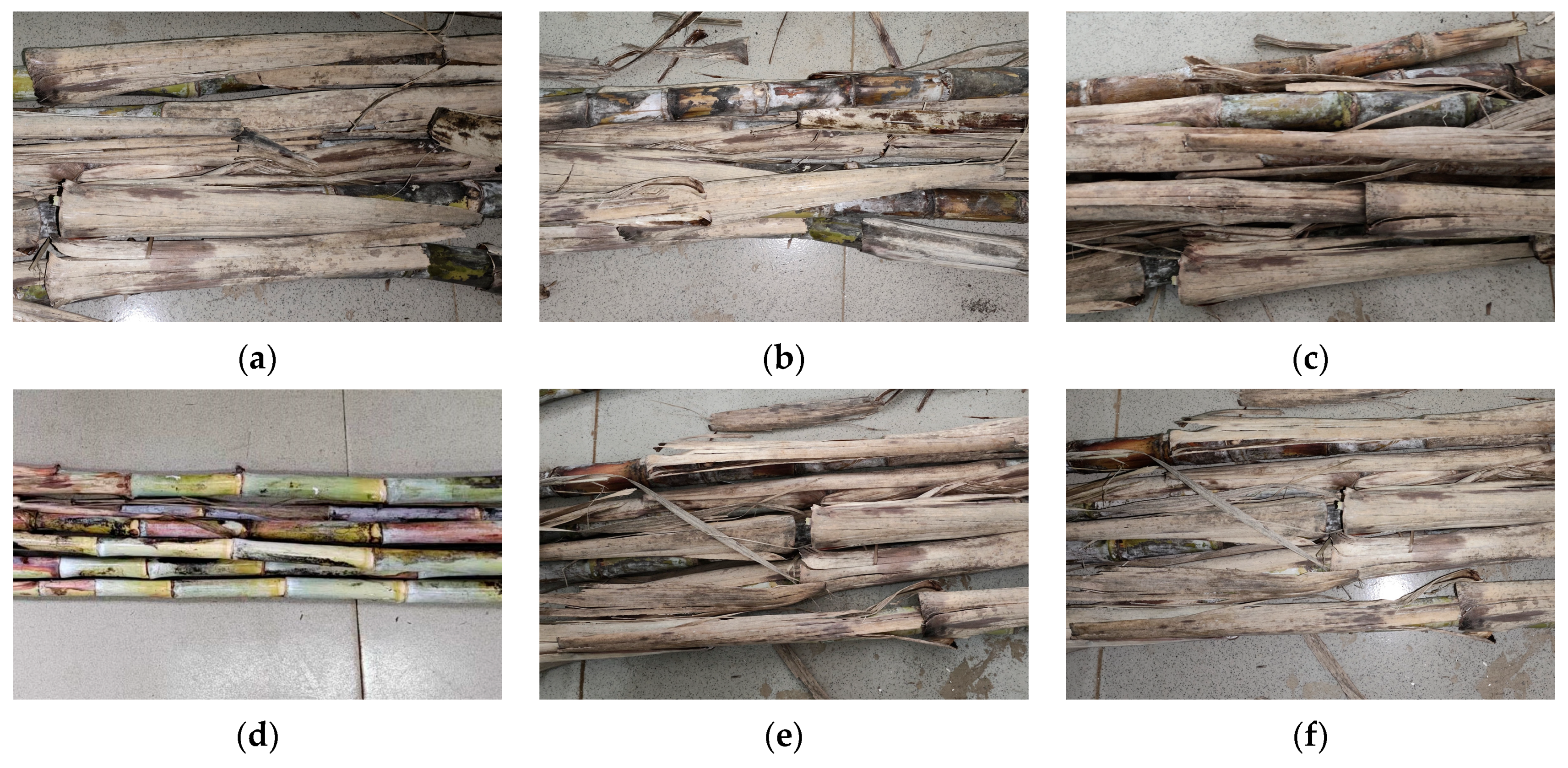 Agriculture 15 01428 g001