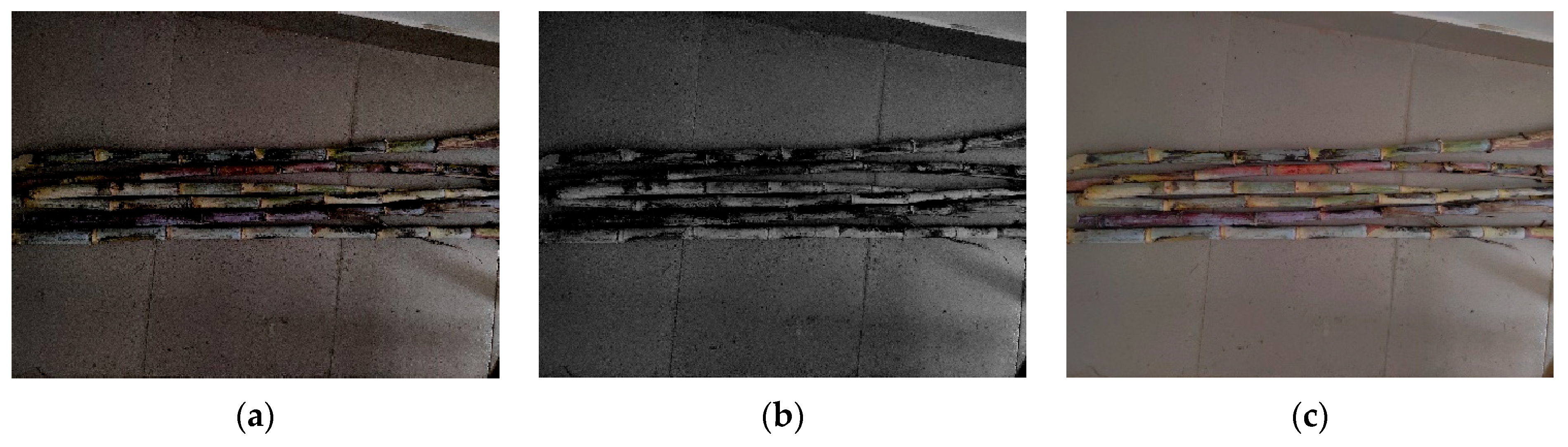 Agriculture 15 01428 g005