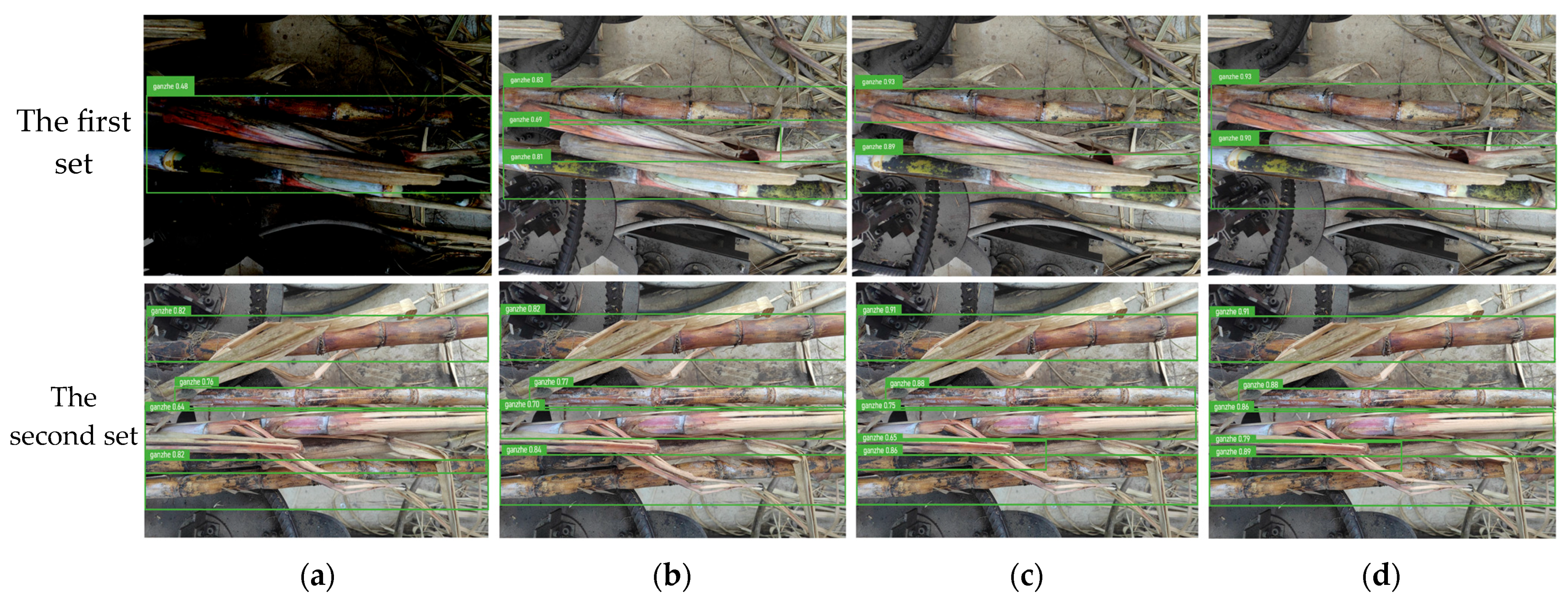 Agriculture 15 01428 g016