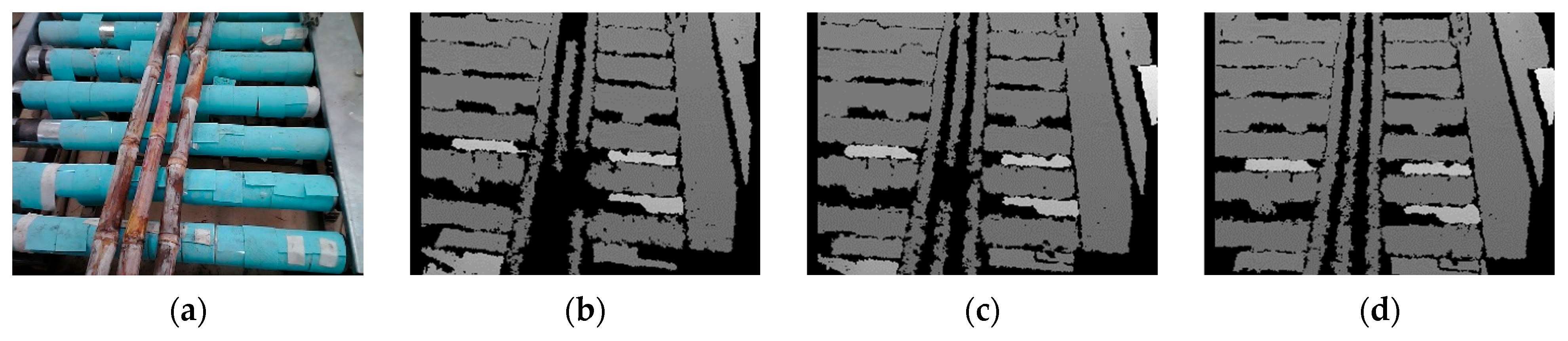 Agriculture 15 01428 g019