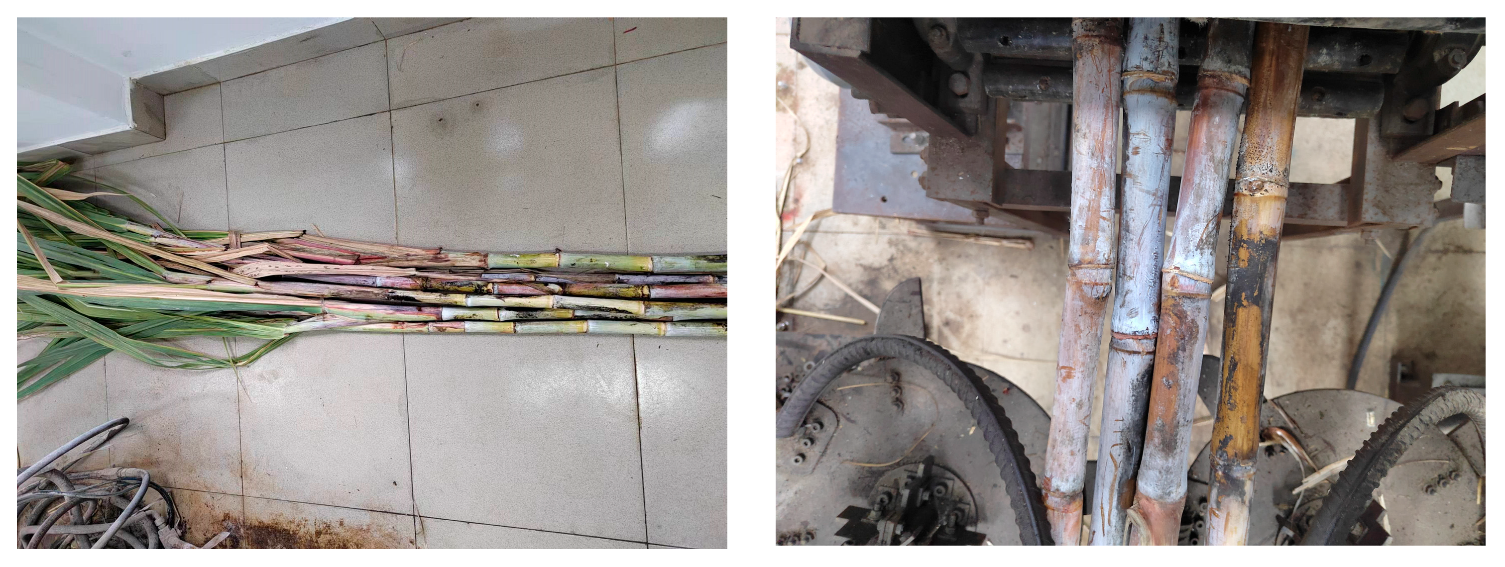 Agriculture 15 01428 g022