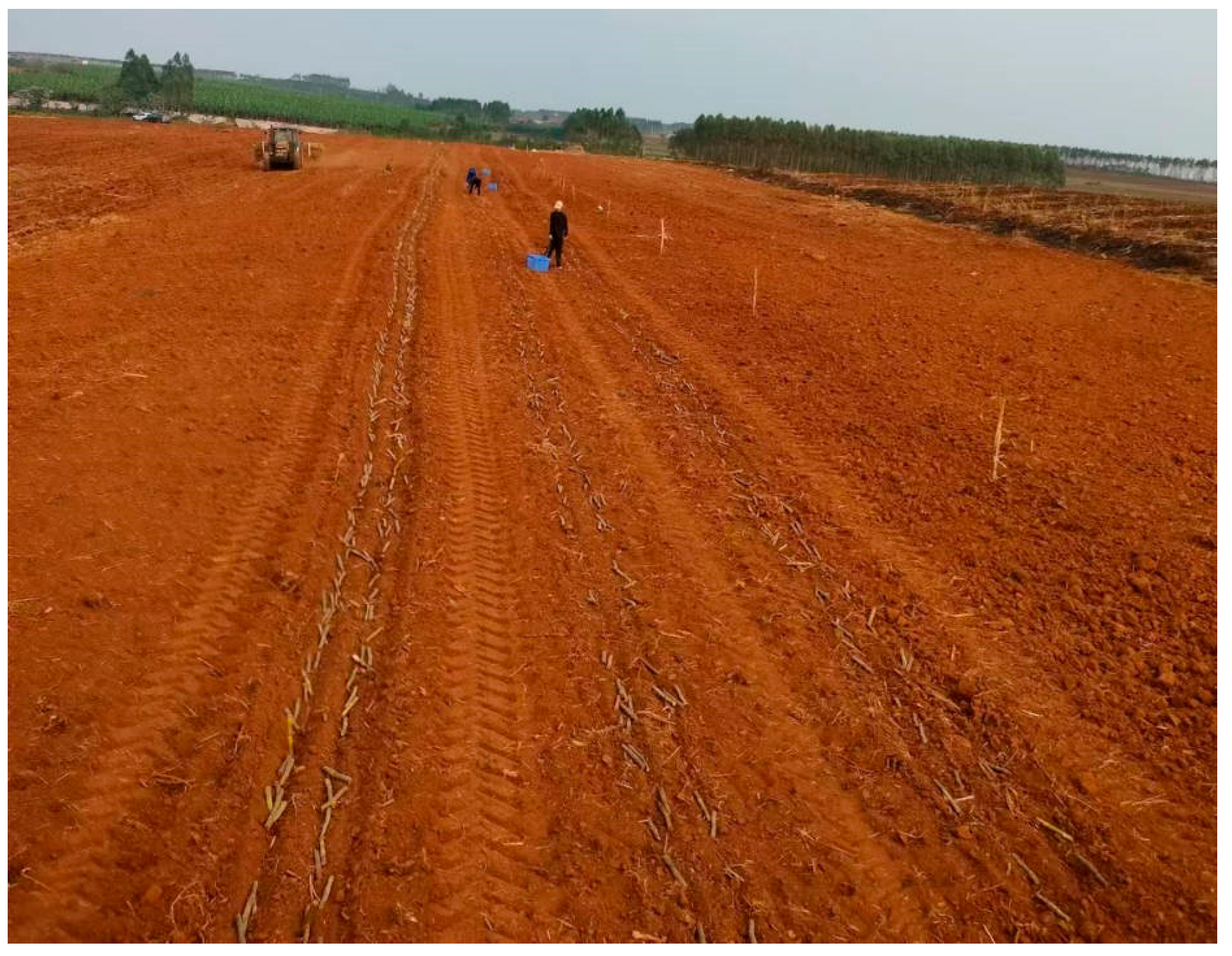 Agriculture 15 01429 g008