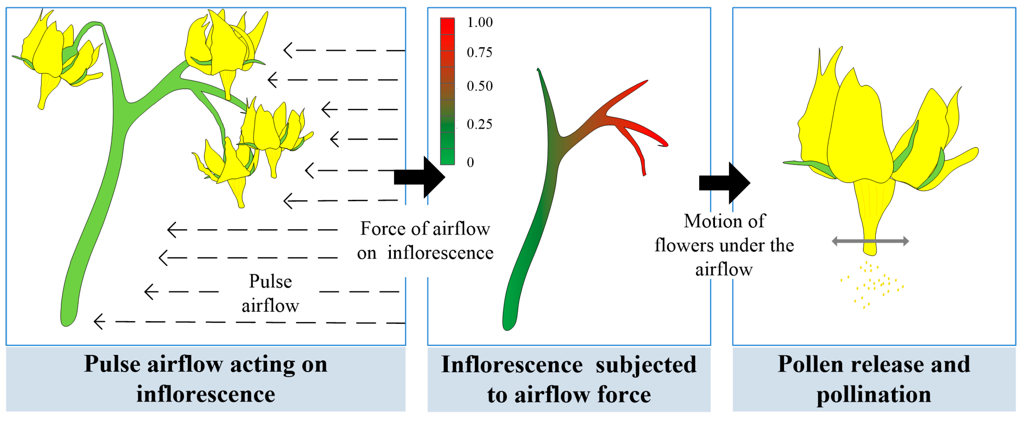 Agriculture 15 01436 g001