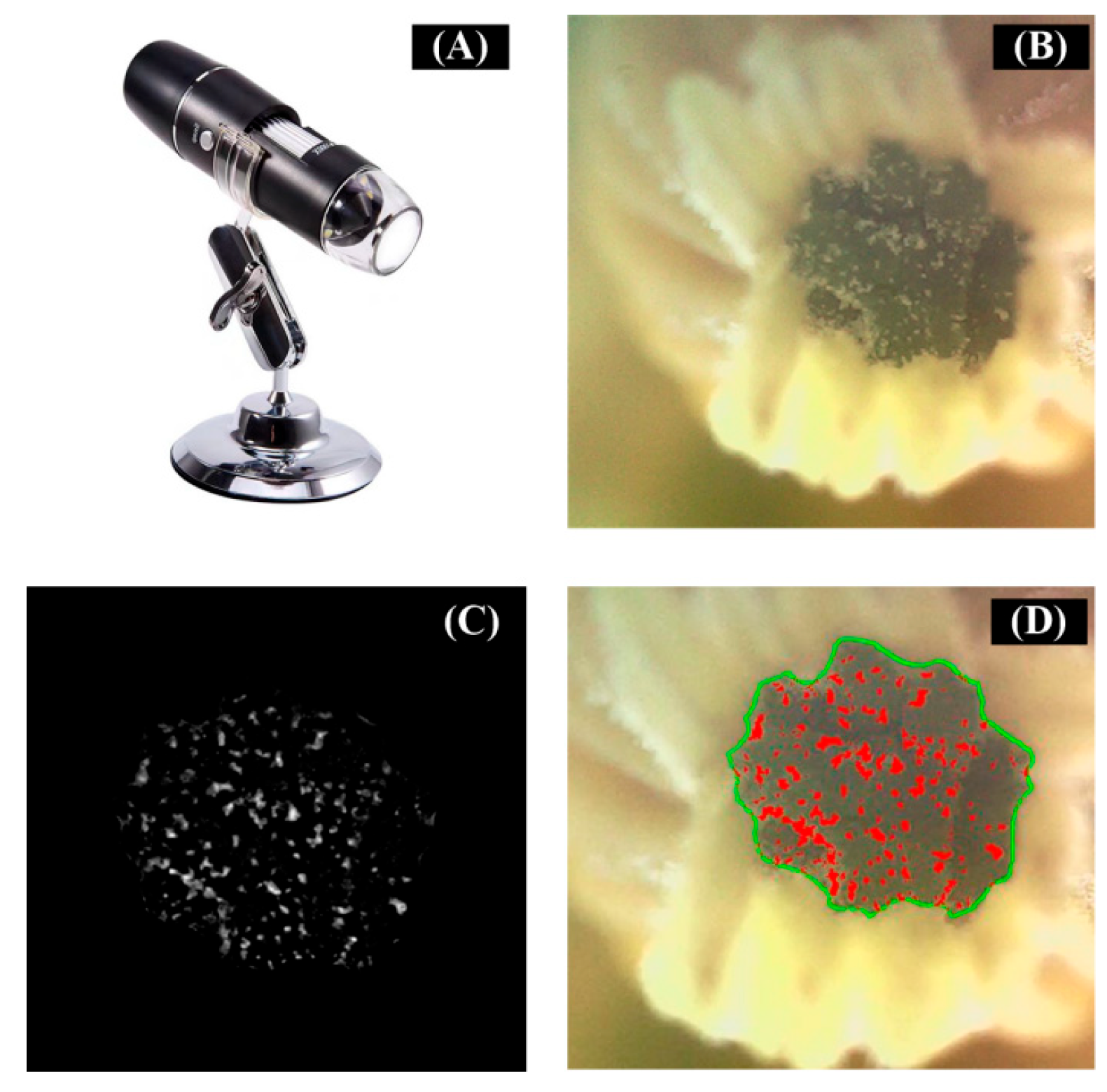 Agriculture 15 01436 g004