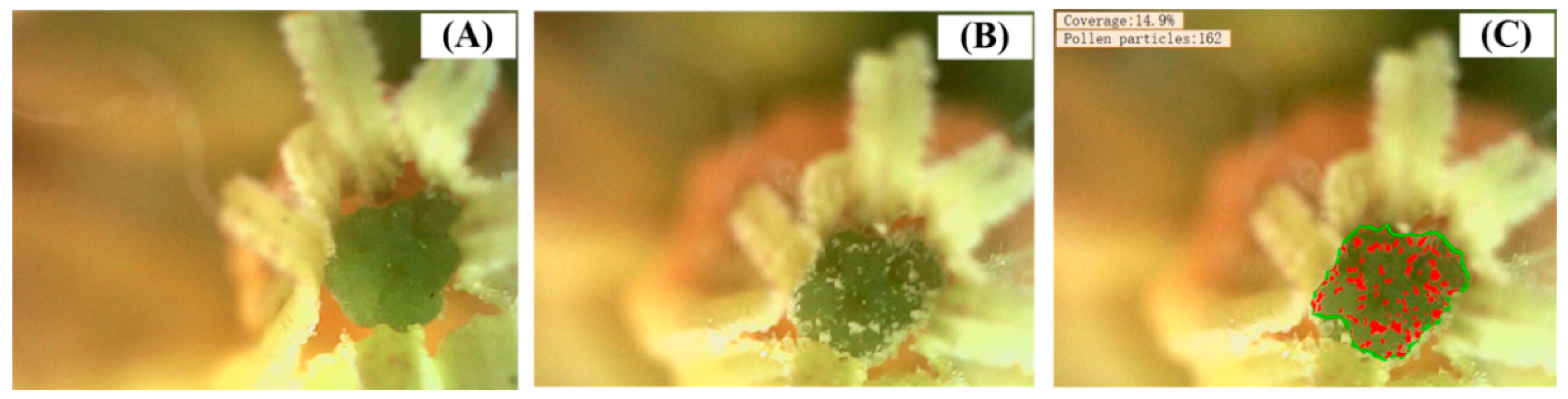 Agriculture 15 01436 g009