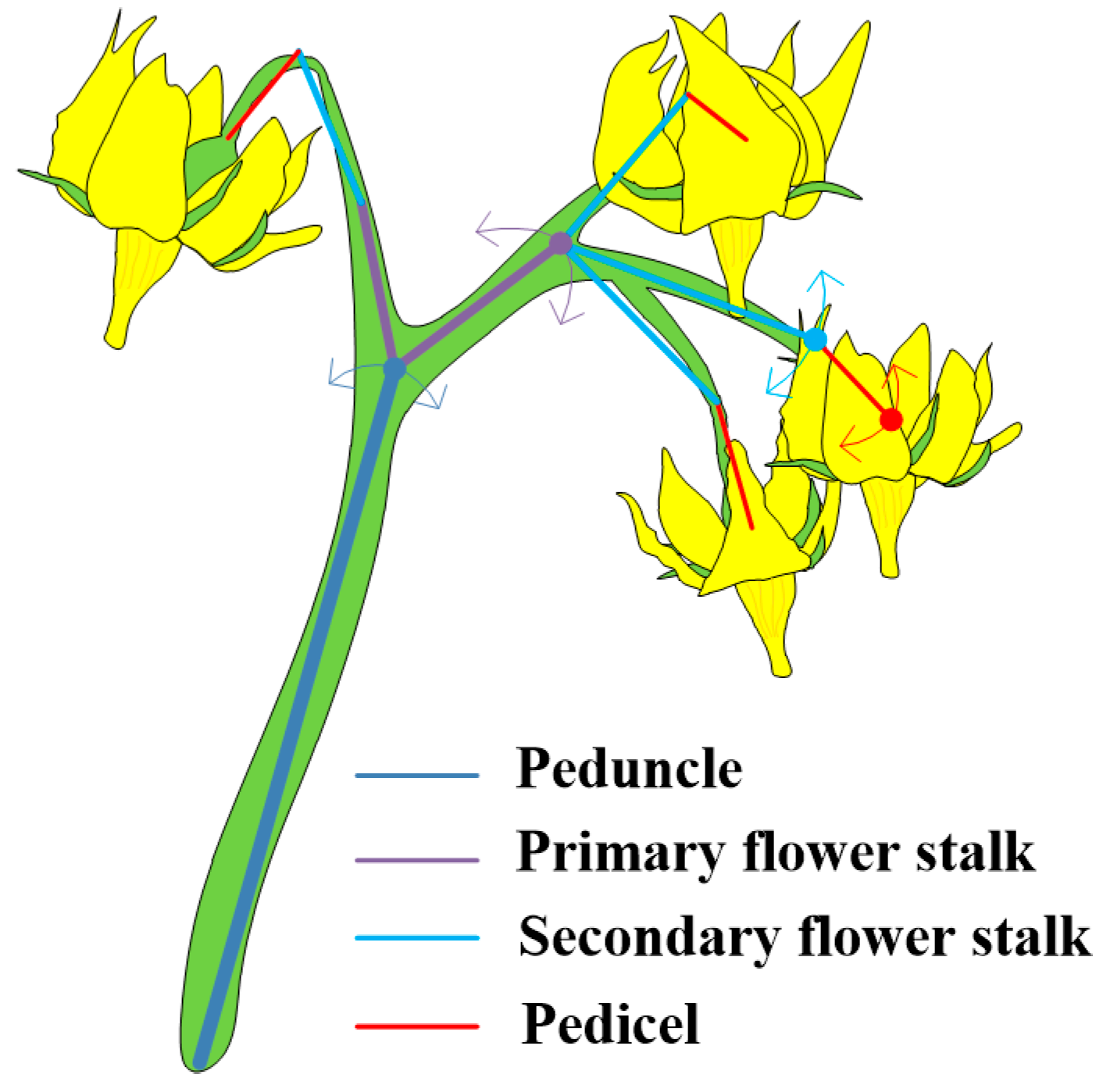 Agriculture 15 01436 g011