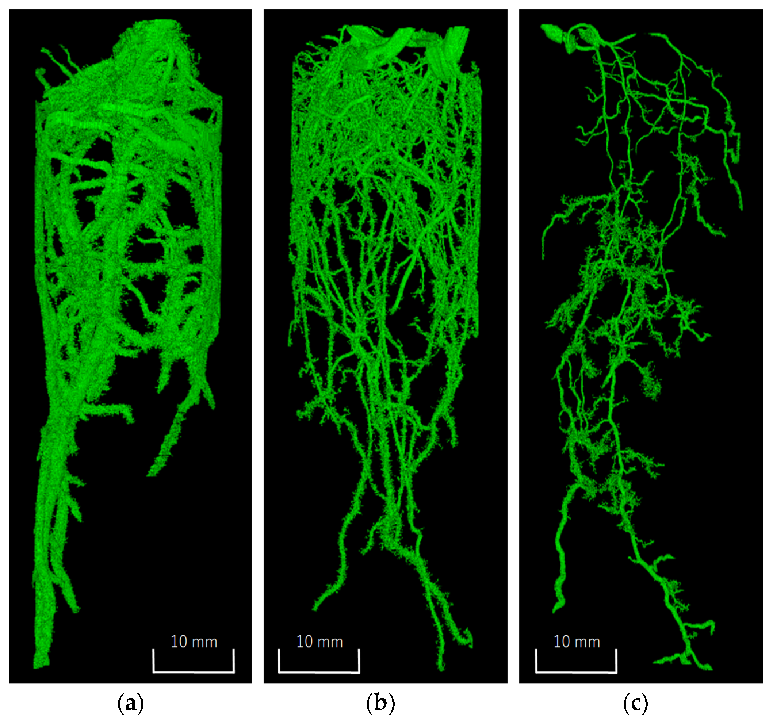 Agriculture 15 01437 g003