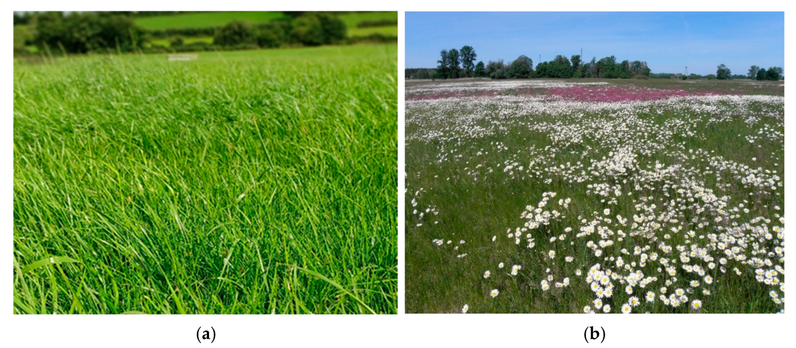 Agriculture 15 01438 g001 Agriculture 15 01438 g001