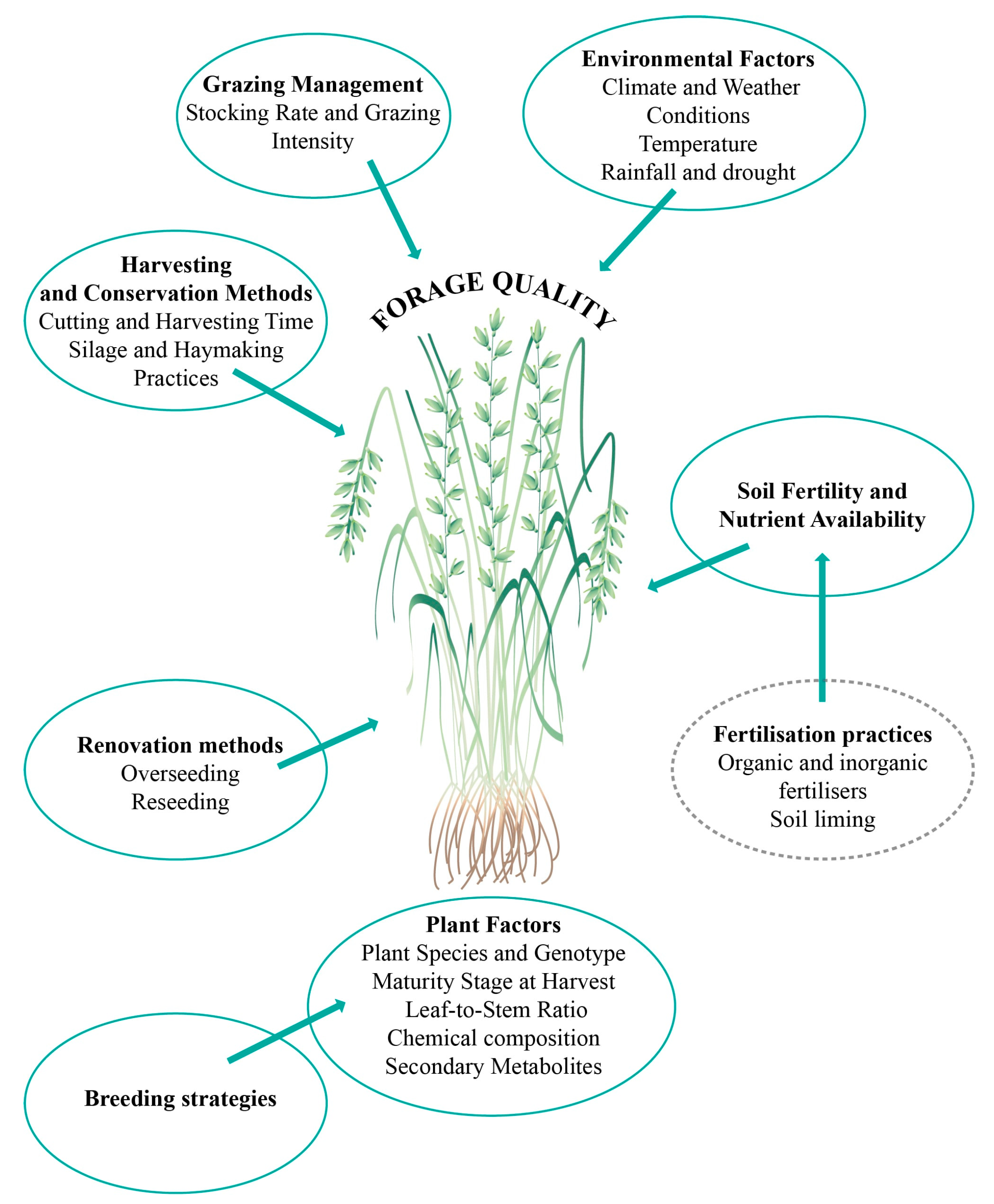 Agriculture 15 01438 g002 Agriculture 15 01438 g002