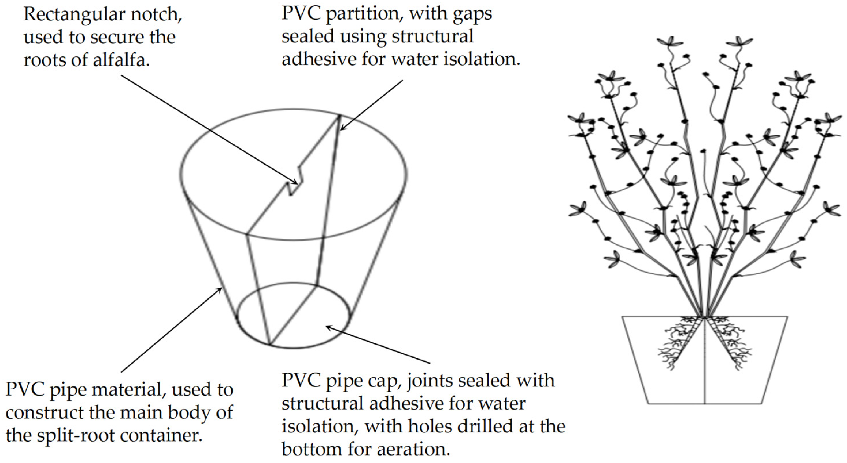 Agriculture 15 01446 g001