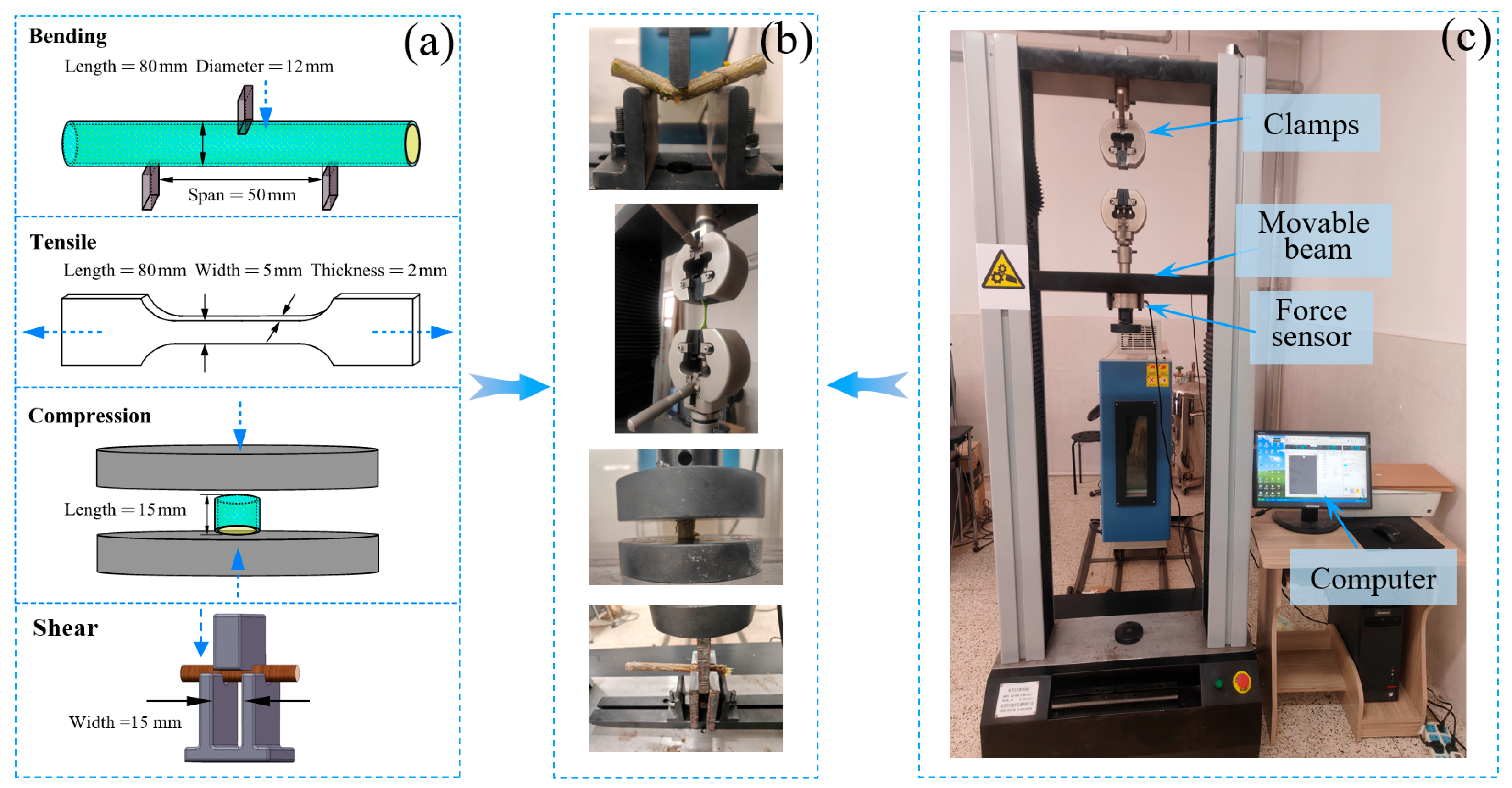 Agriculture 15 01449 g004
