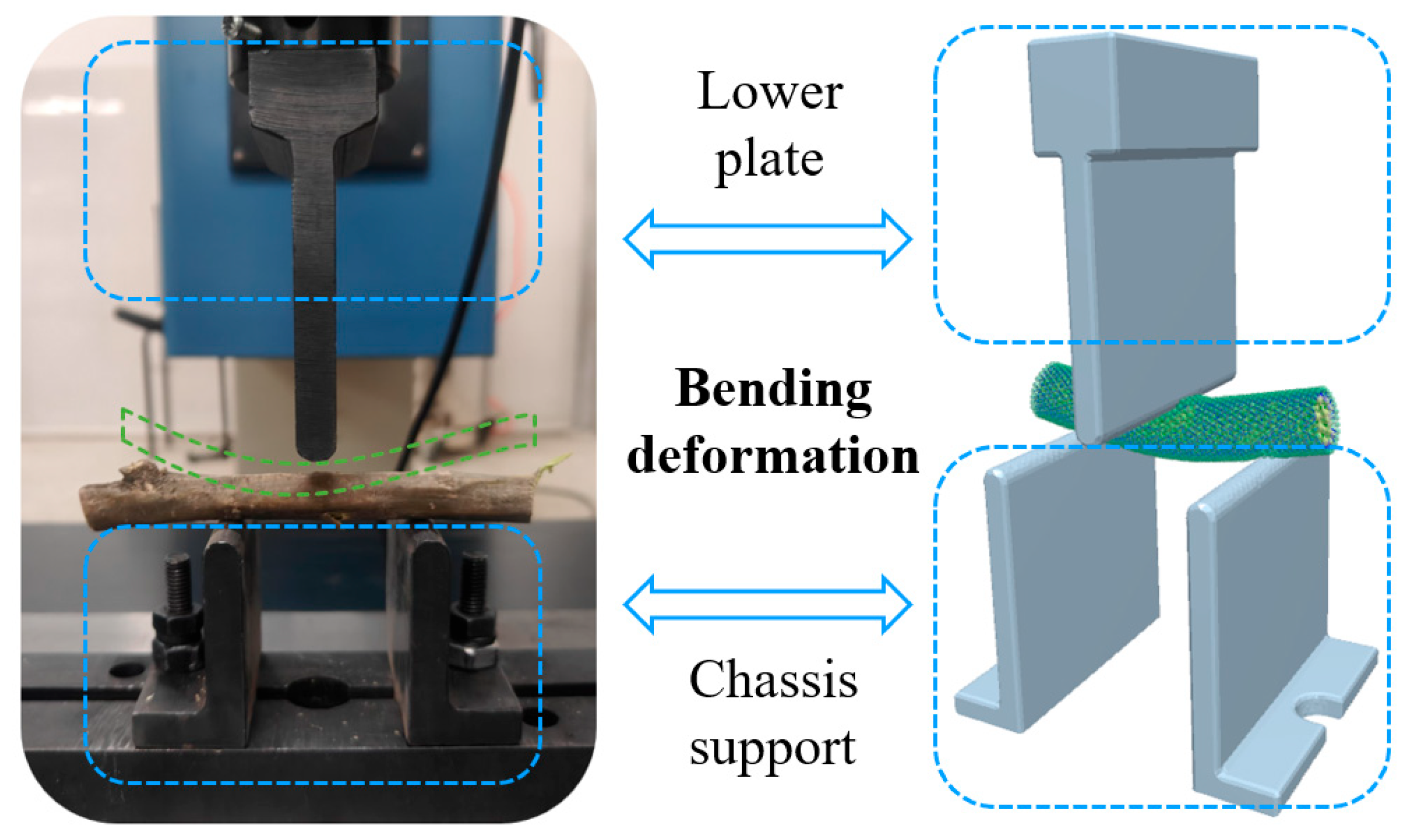 Agriculture 15 01449 g005